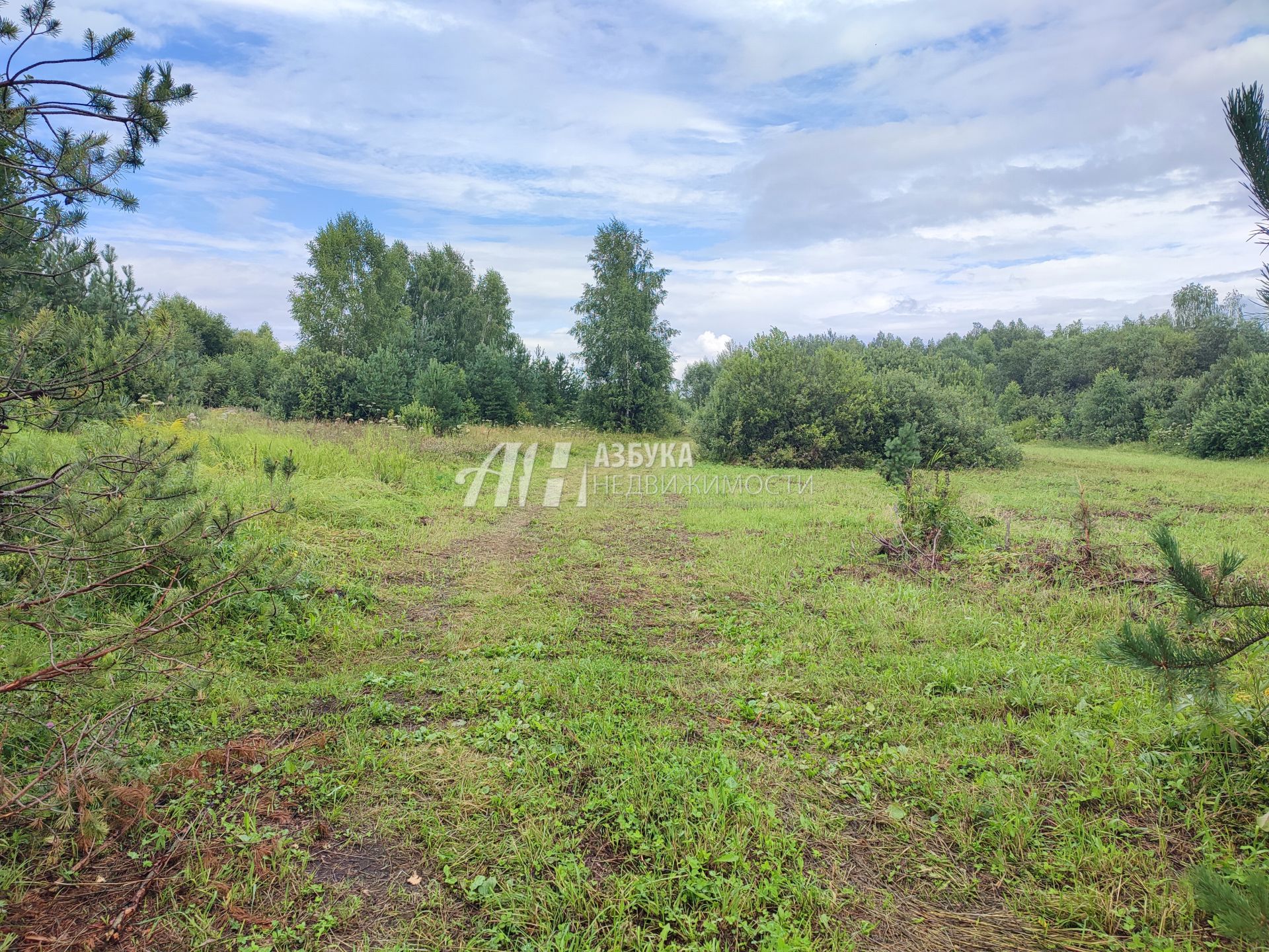 Земли сельхозназначения Московская область, Богородский городской округ, деревня Тимково