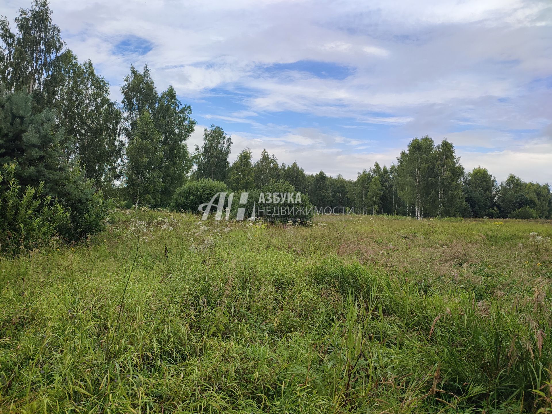 Земли сельхозназначения Московская область, Богородский городской округ, деревня Тимково