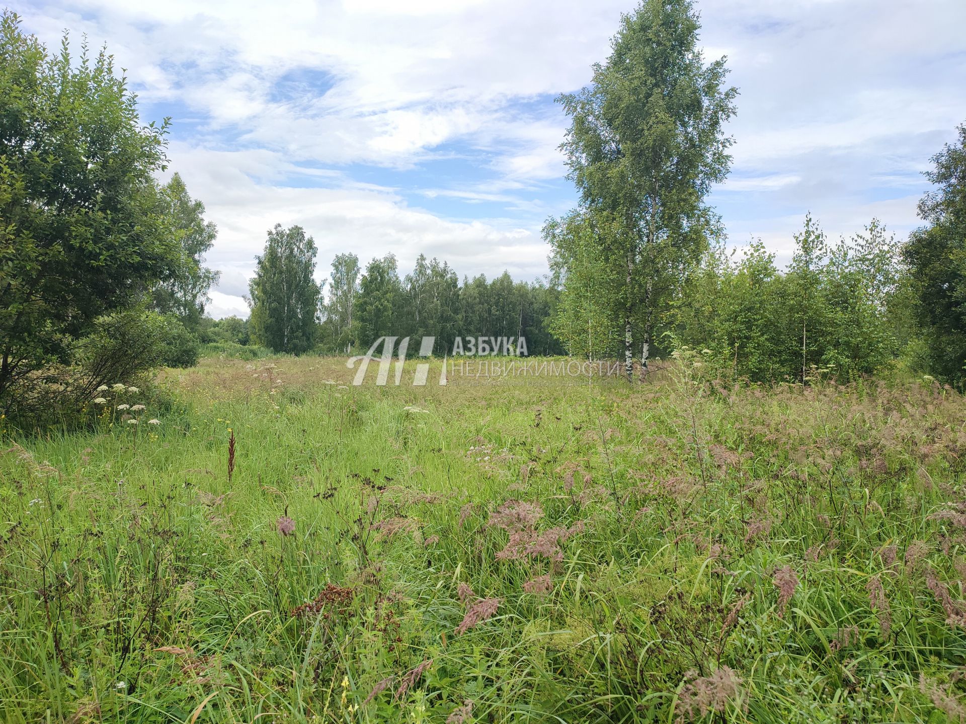 Земли сельхозназначения Московская область, Богородский городской округ, деревня Тимково