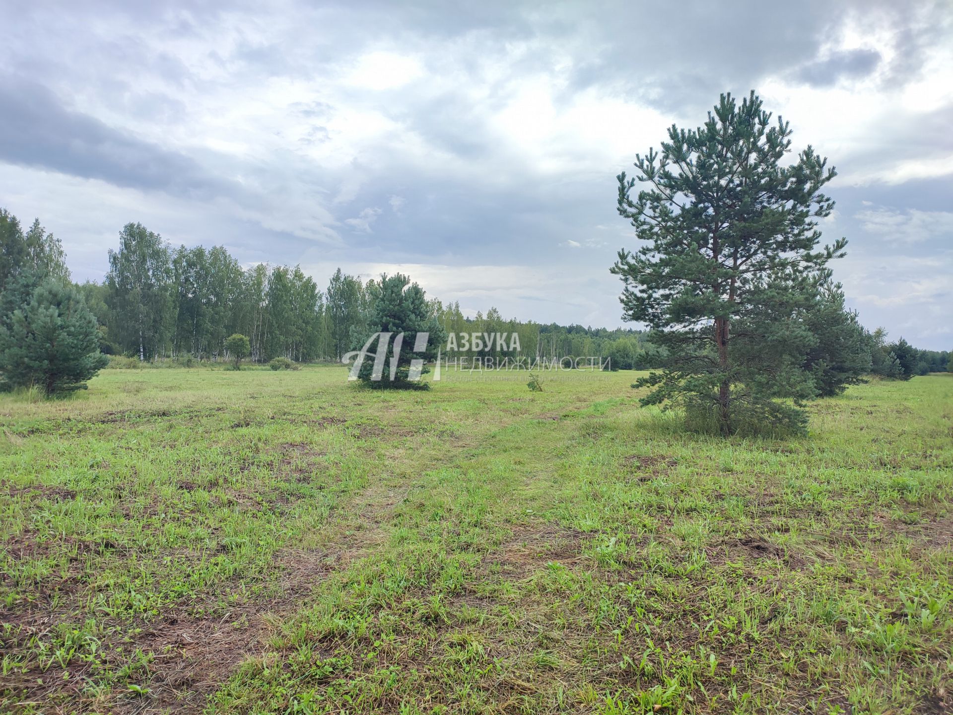 Земли сельхозназначения Московская область, Богородский городской округ, деревня Тимково