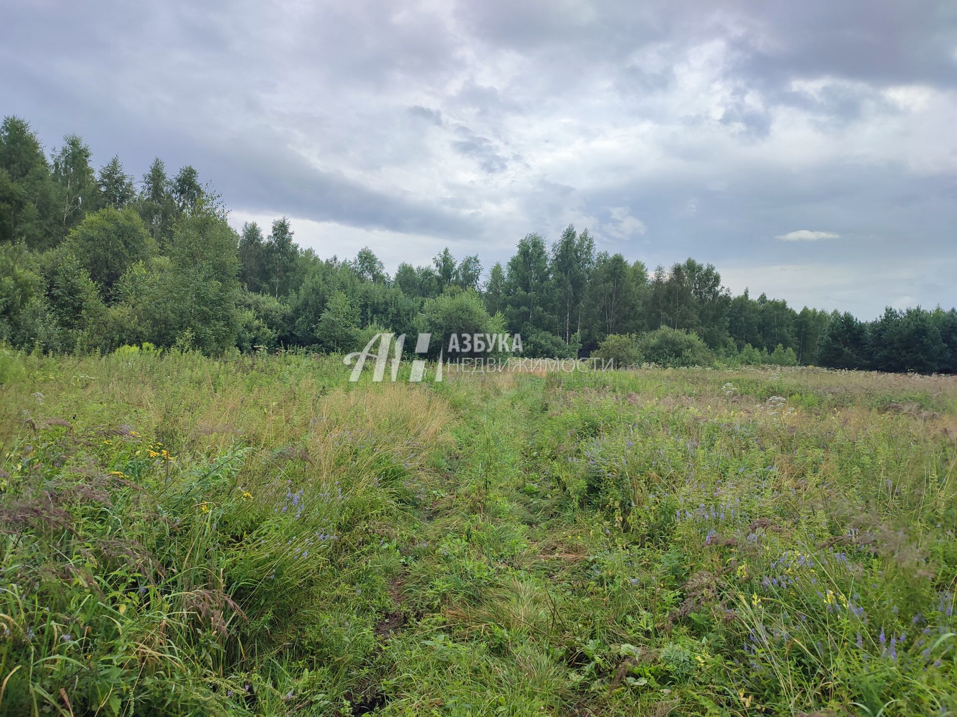 Земли сельхозназначения Московская область, Богородский городской округ, деревня Тимково