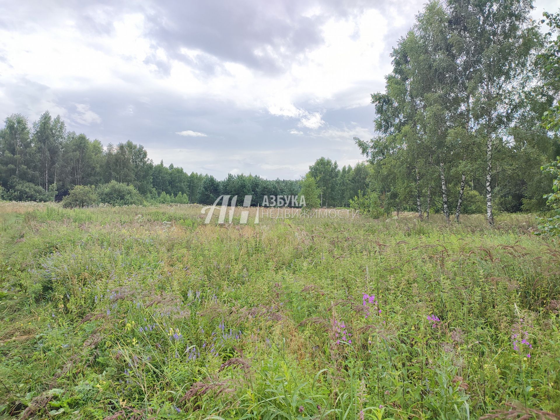 Земли сельхозназначения Московская область, Богородский городской округ, деревня Тимково