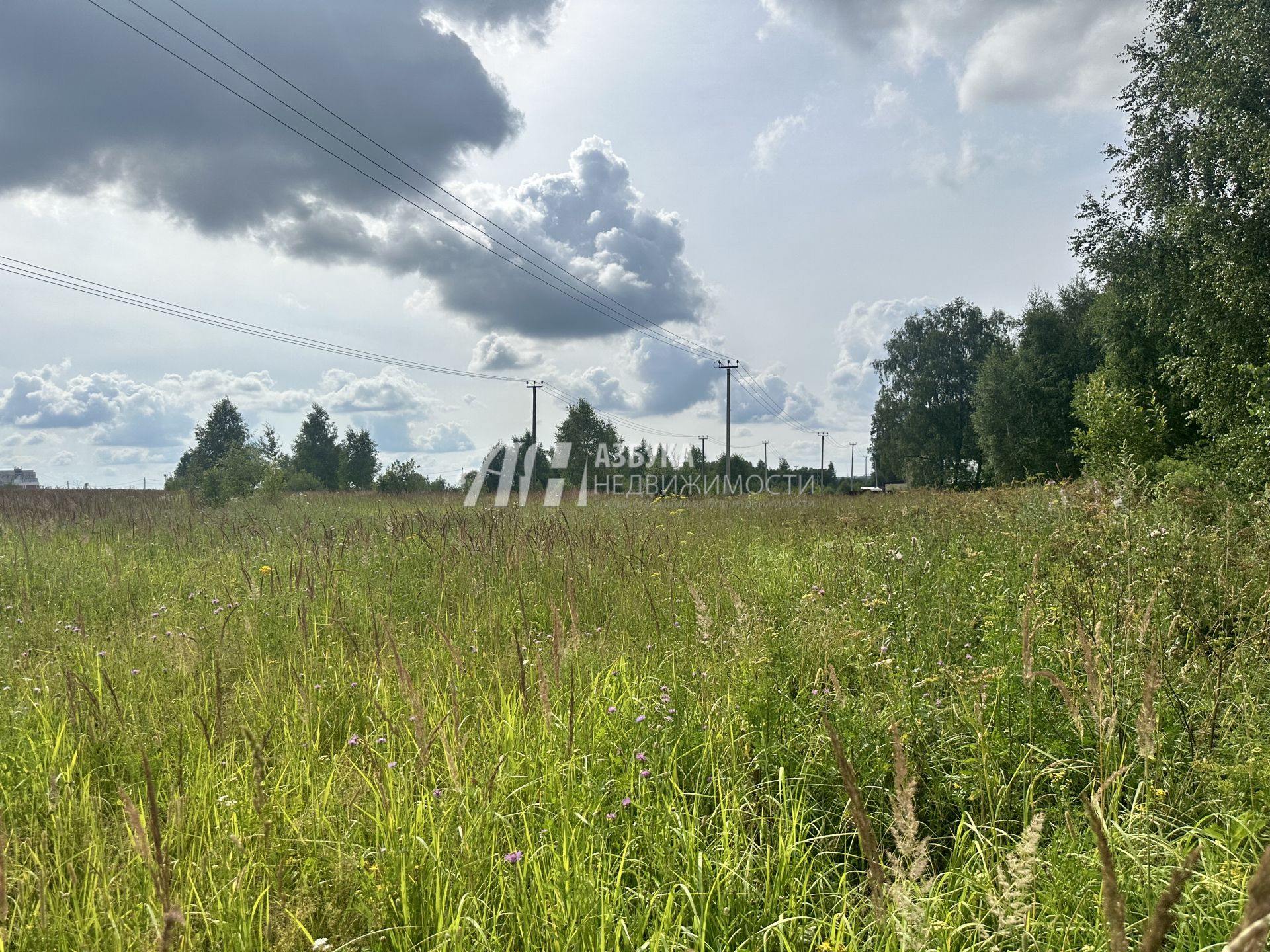  Московская область, городской округ Чехов, деревня Венюково