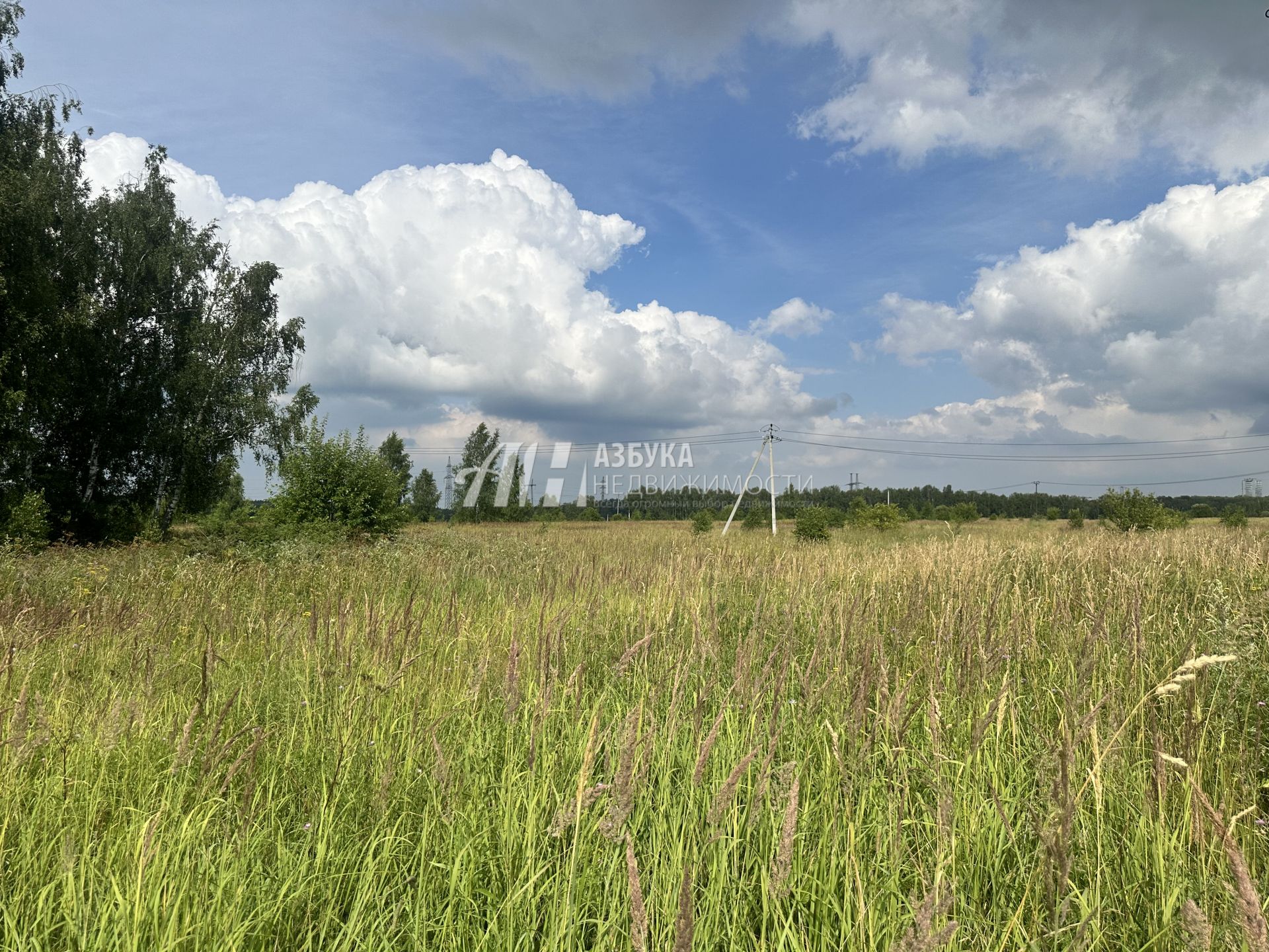  Московская область, городской округ Чехов, деревня Венюково