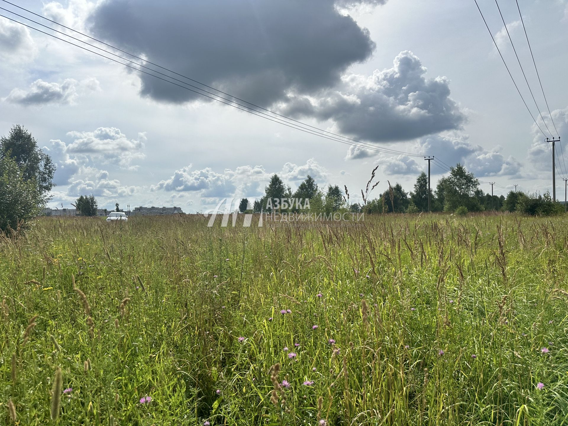  Московская область, городской округ Чехов, деревня Венюково