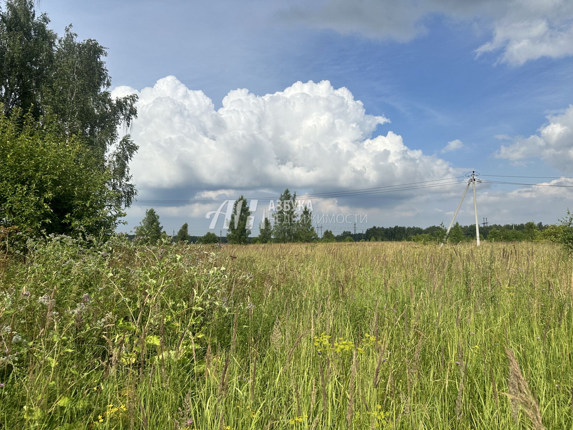  Московская область, городской округ Чехов, деревня Венюково