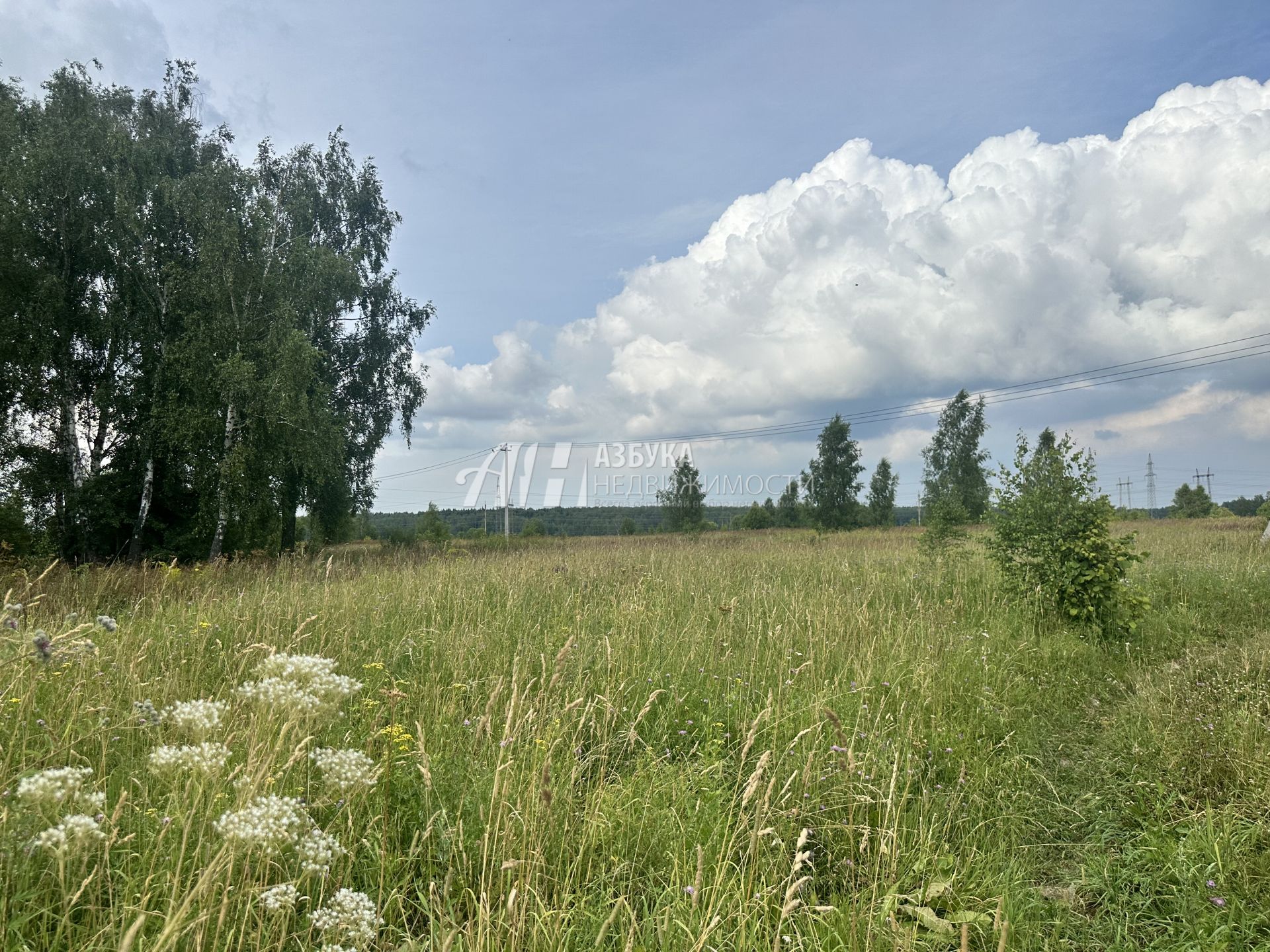 Земли поселения Московская область, городской округ Чехов, деревня Венюково