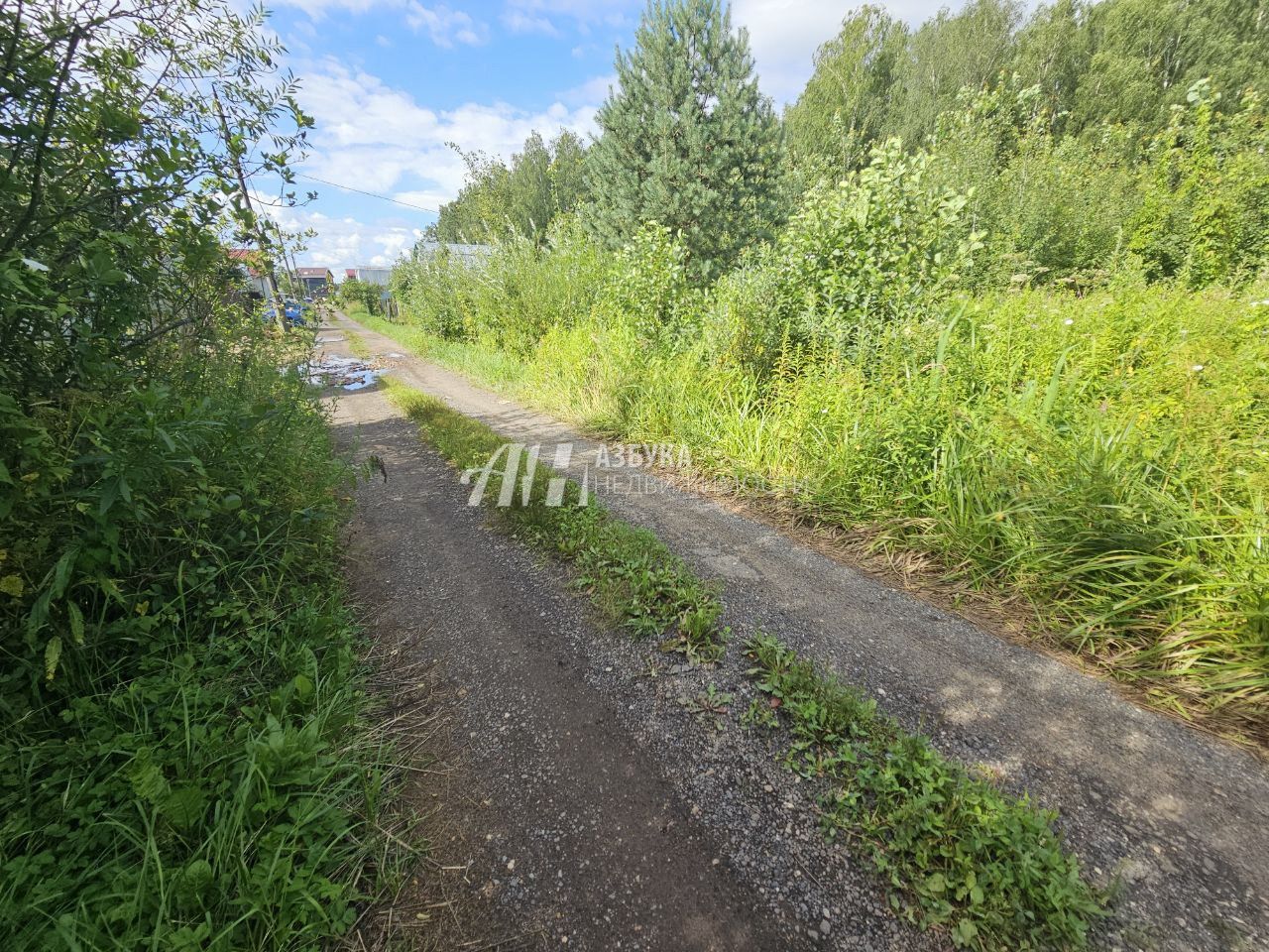 Земли сельхозназначения Московская область, Богородский городской округ, Ногинск, СНТ Сирень