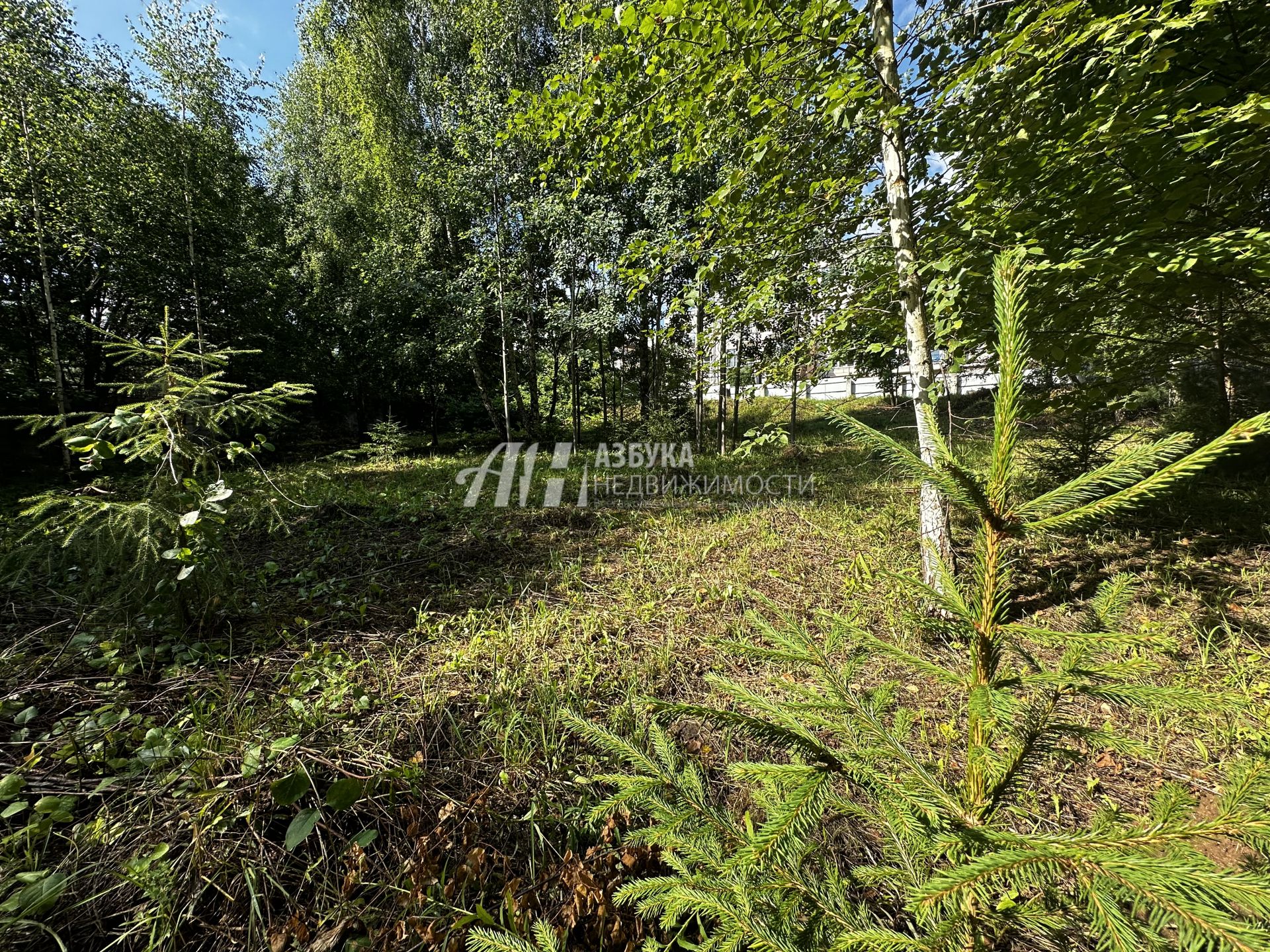 Земли поселения Московская область, городской округ Истра, посёлок Ивановское