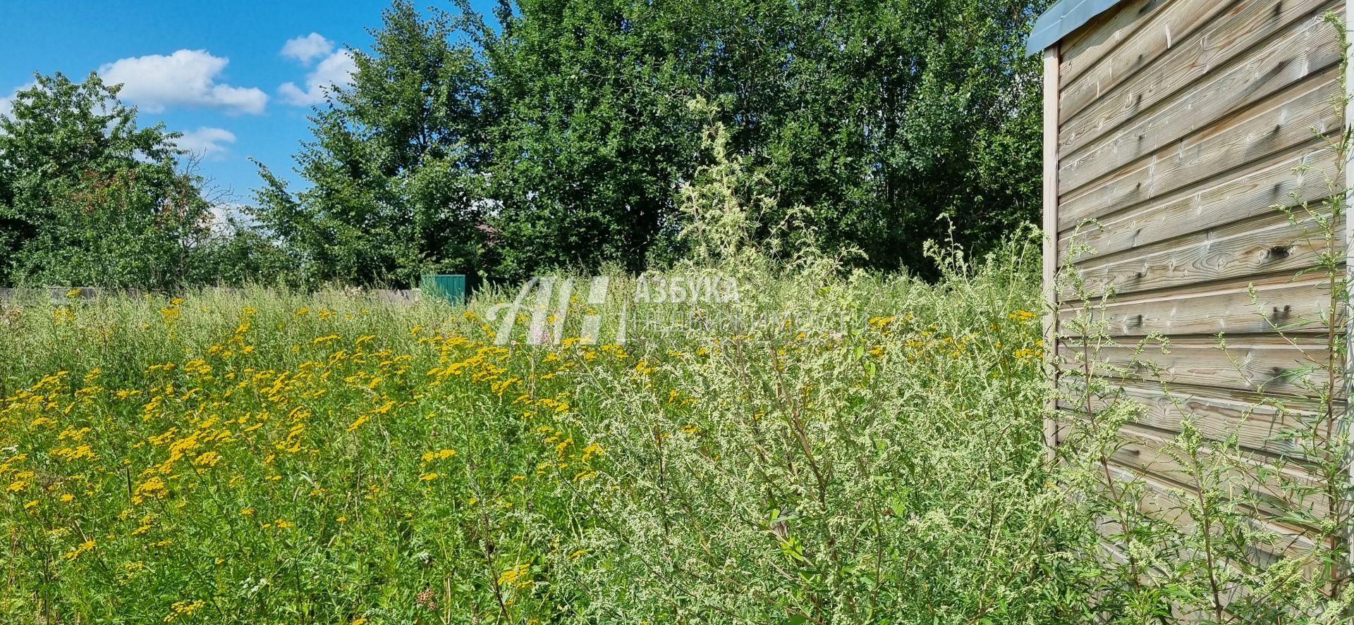 Земли поселения Московская область, городской округ Истра, деревня Падиково, Лесная улица