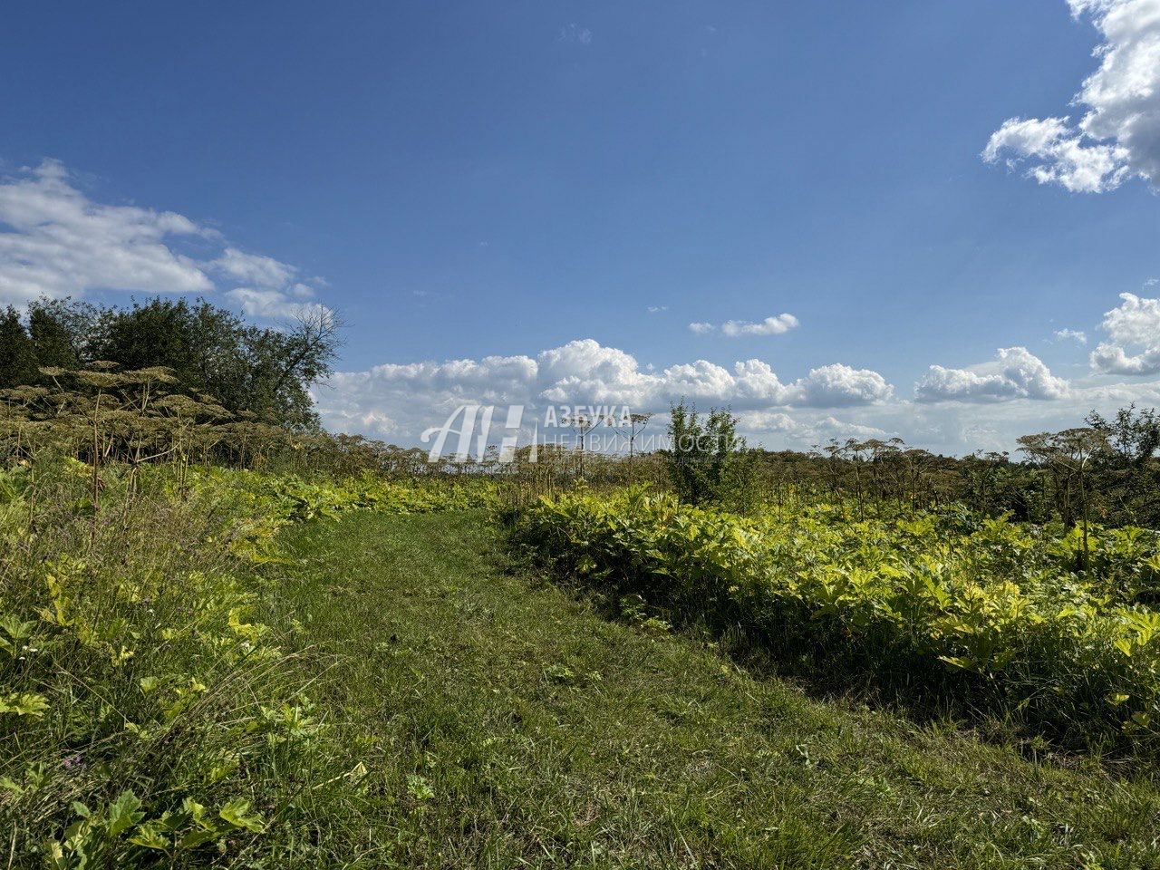 Земли поселения Московская область, Рузский городской округ, деревня Филатово