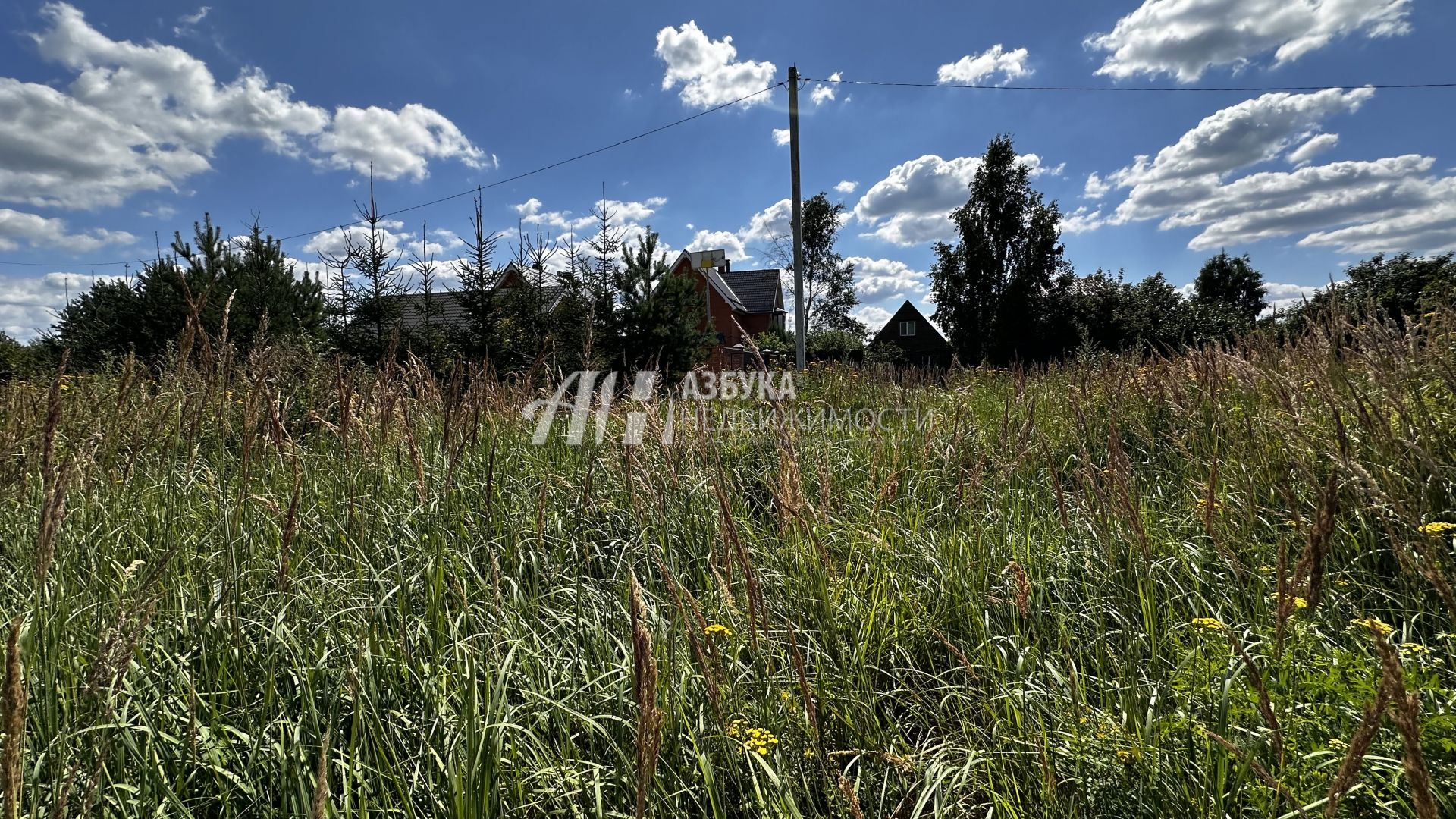 Земли поселения Московская область, Раменский городской округ, деревня Тяжино