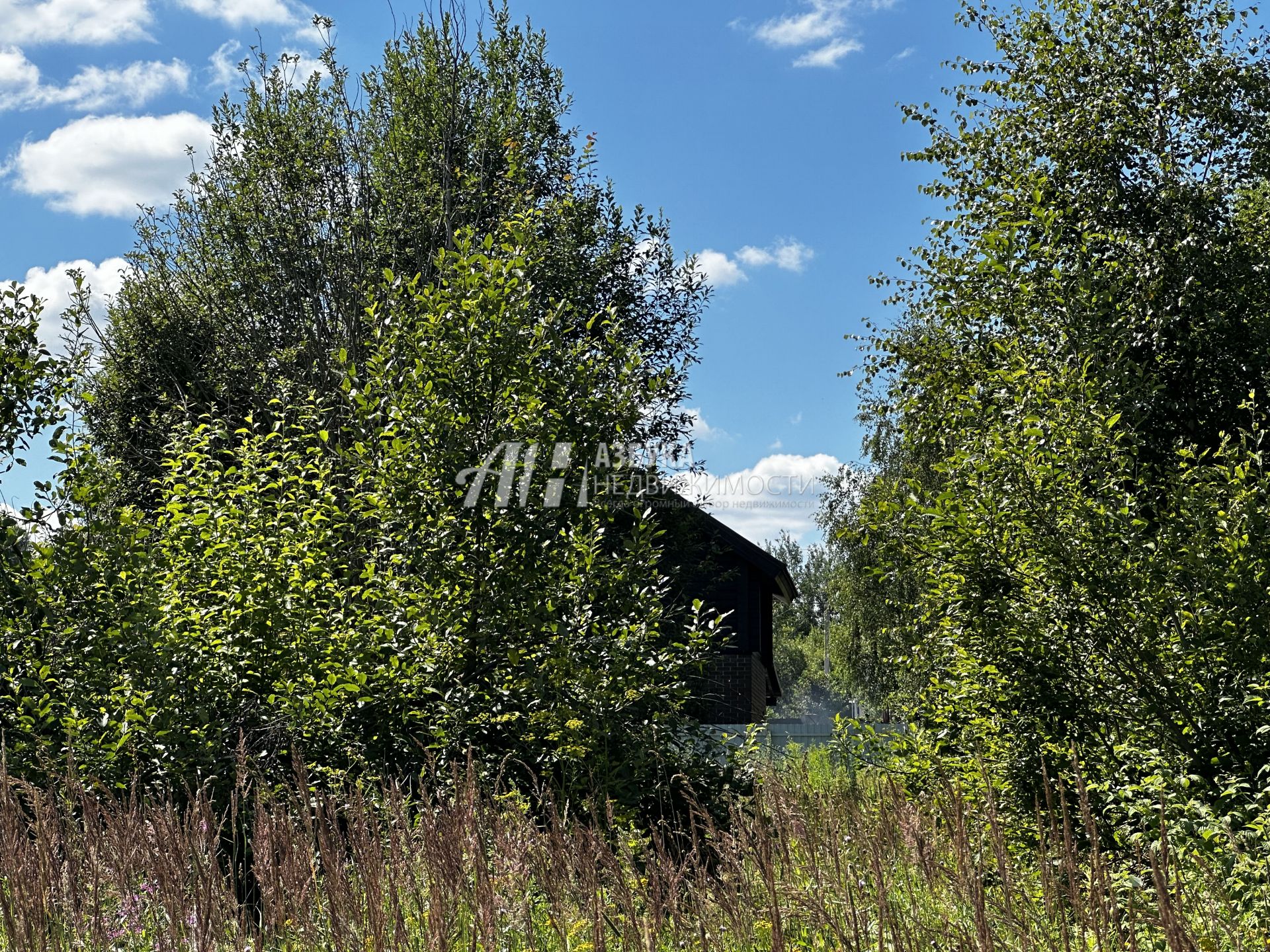 Земли поселения Московская область, городской округ Истра, посёлок Северный, Кедровая улица