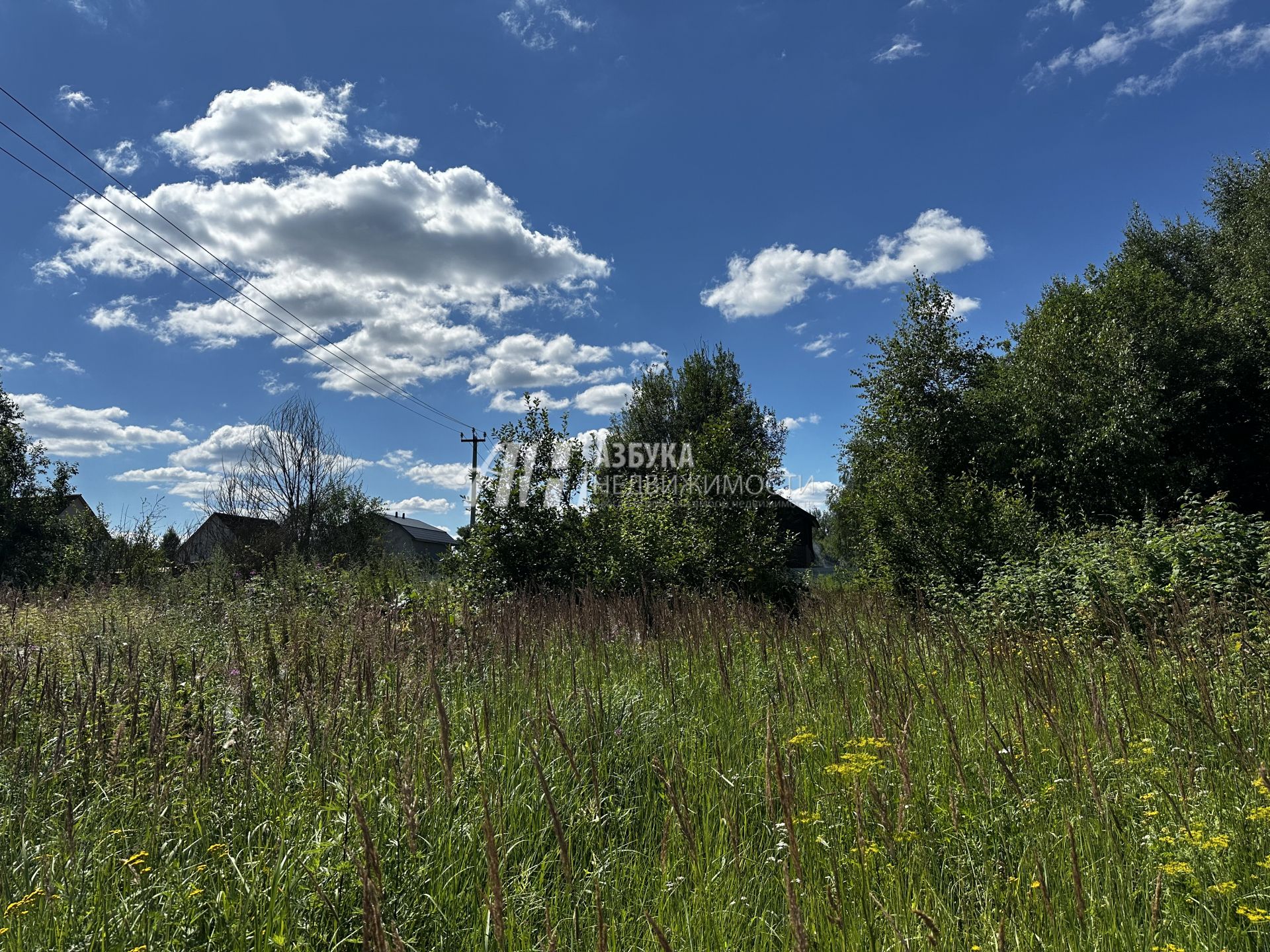 Земли поселения Московская область, городской округ Истра, посёлок Северный, Кедровая улица