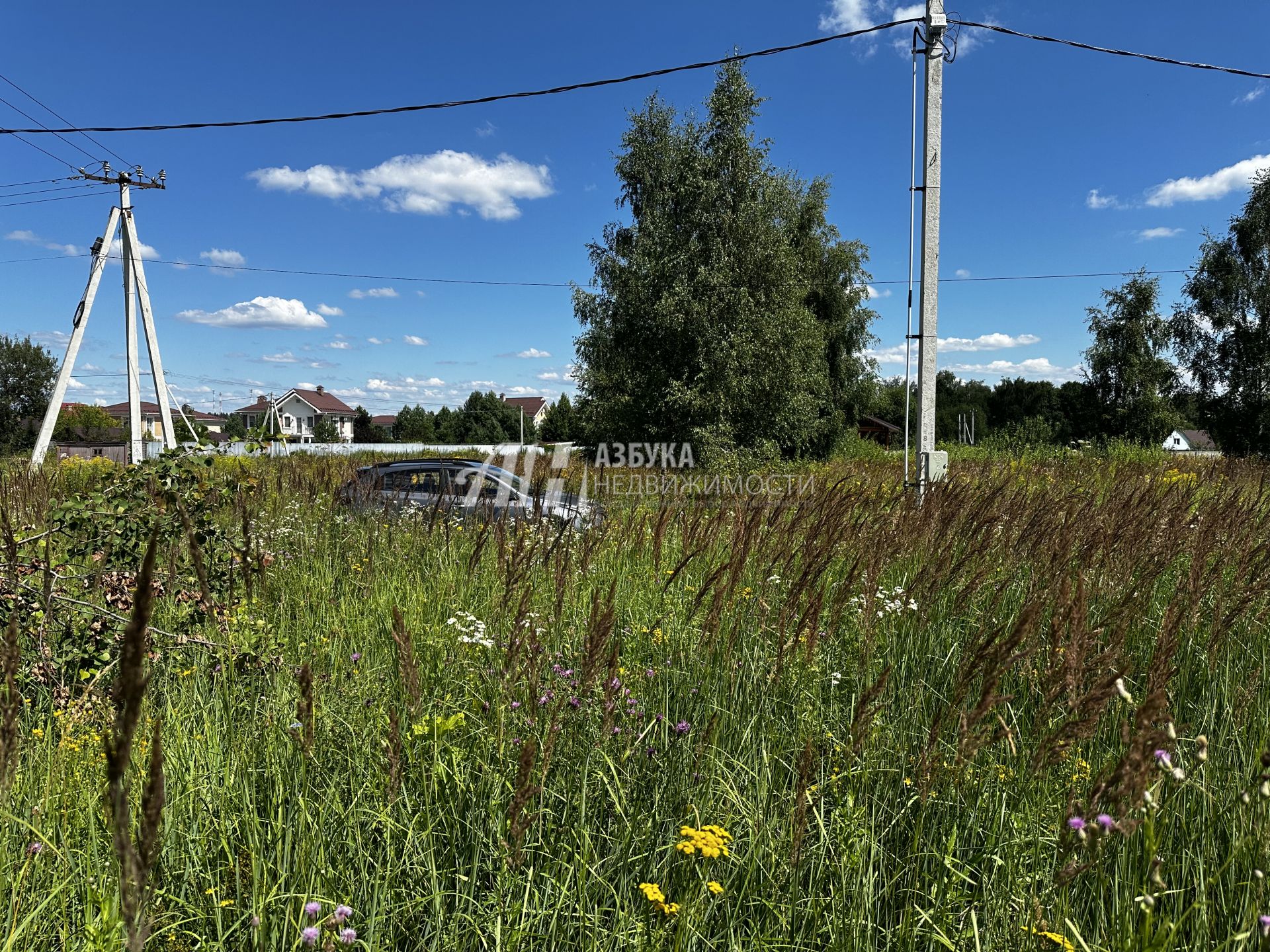 Земли поселения Московская область, городской округ Истра, посёлок Северный, Кедровая улица