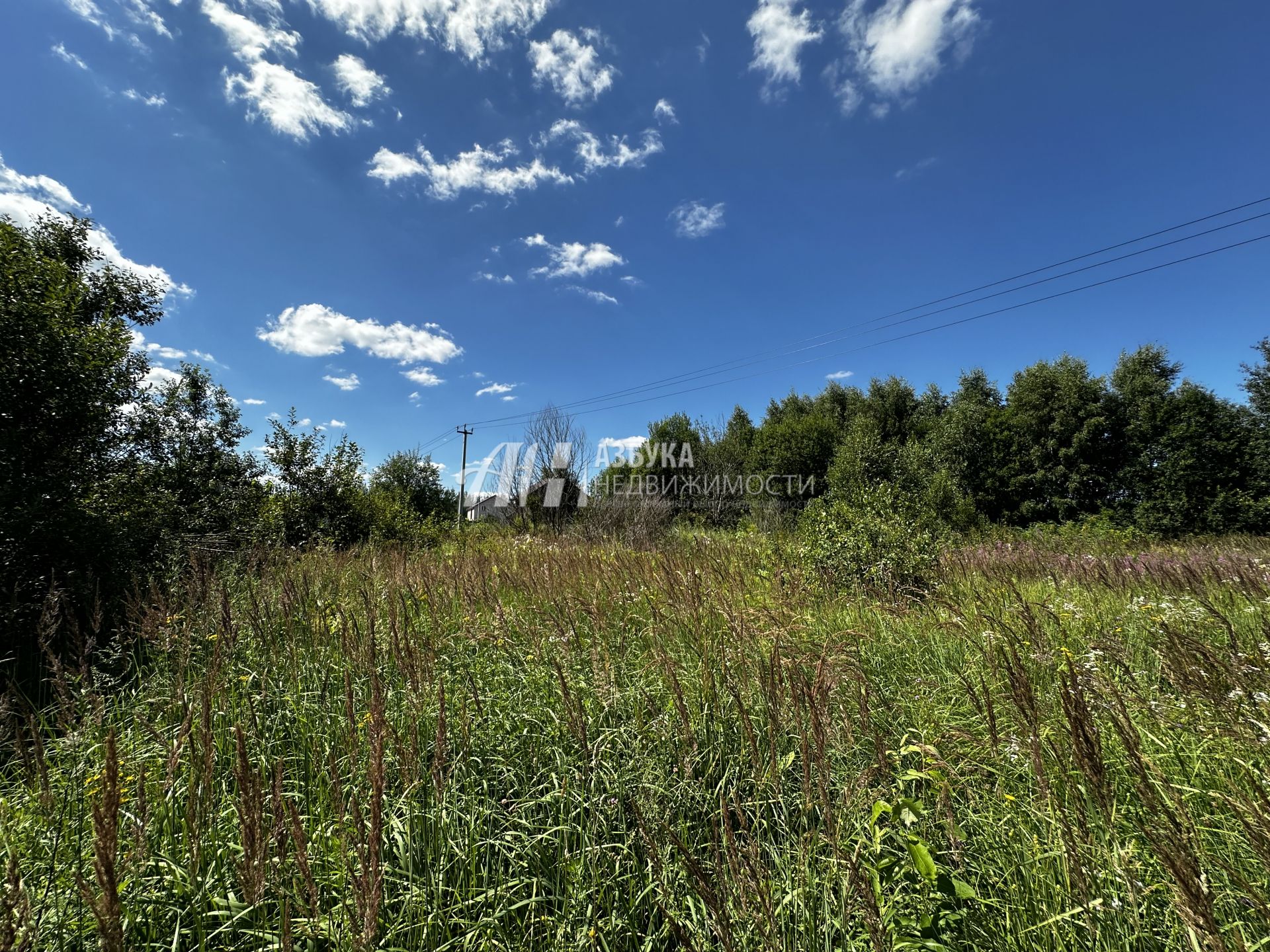 Земли поселения Московская область, городской округ Истра, посёлок Северный, Кедровая улица