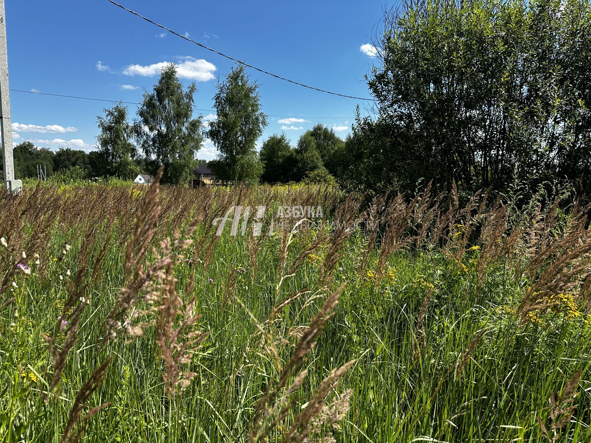 Земли поселения Московская область, городской округ Истра, посёлок Северный, Кедровая улица