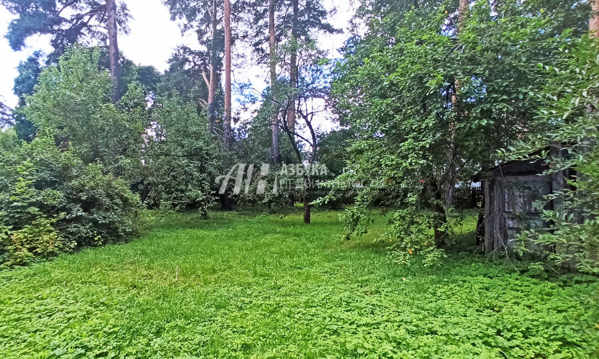 Земли поселения Московская область, Пушкино, улица Грибоедова