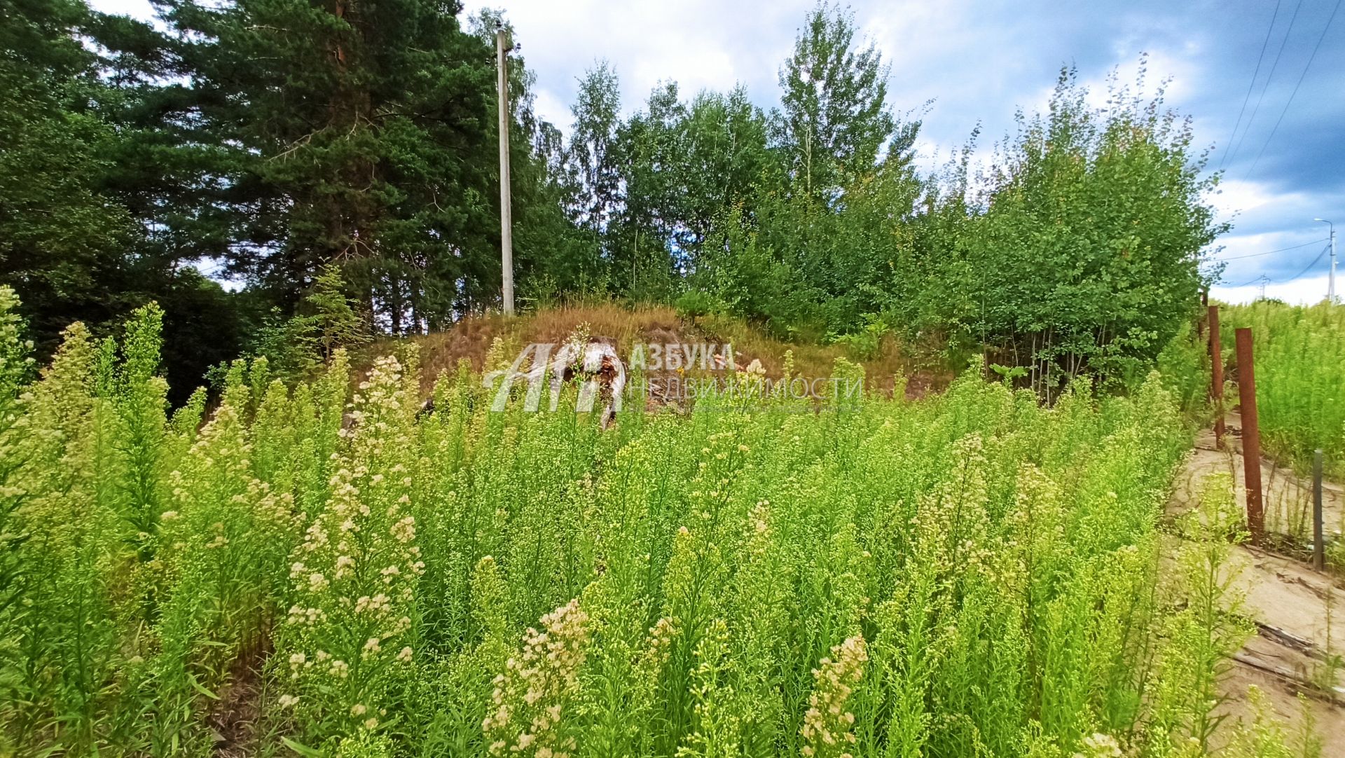 Земли поселения Московская область, городской округ Щёлково, деревня Здехово