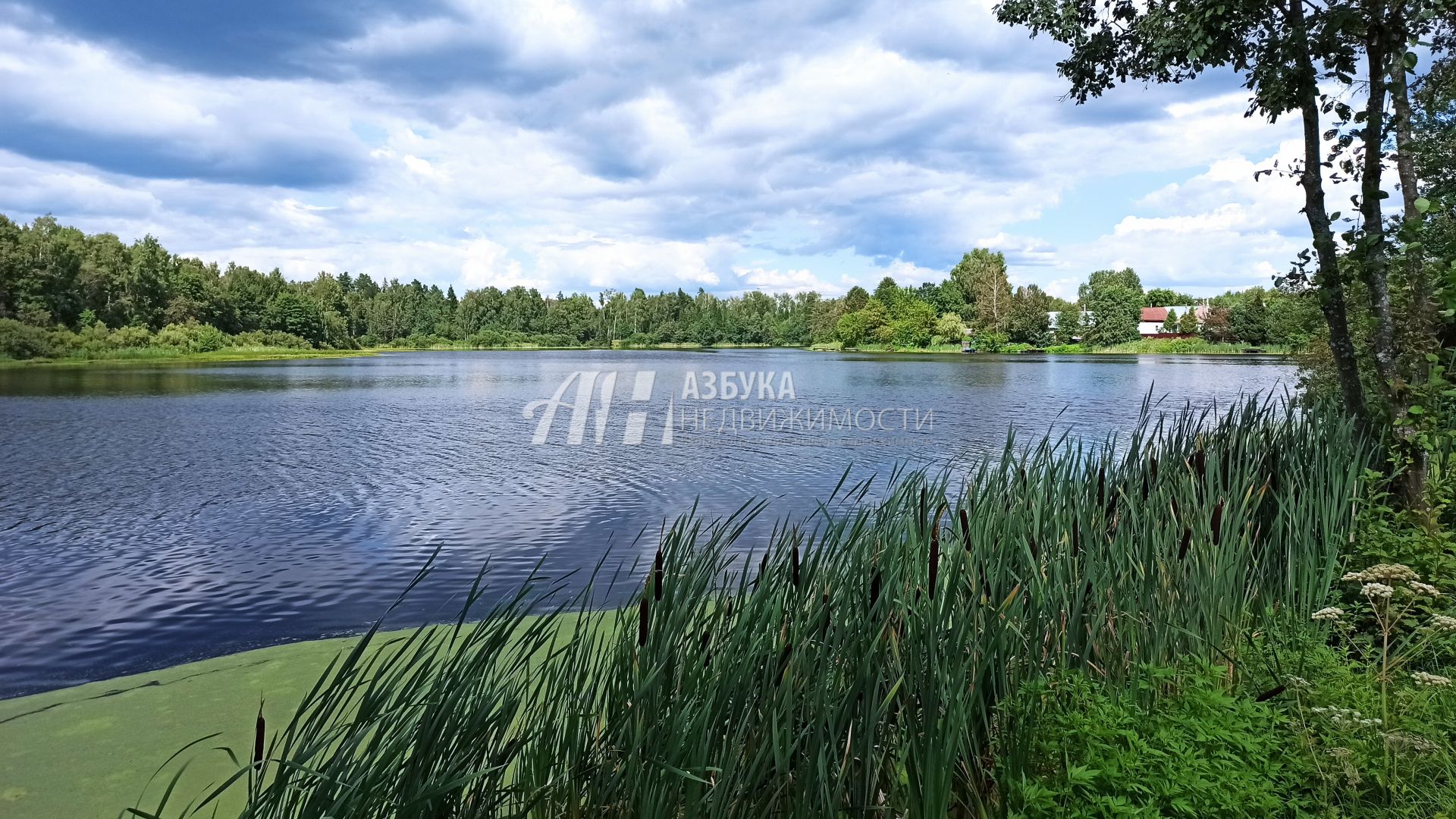 Земли поселения Московская область, городской округ Щёлково, деревня Богослово