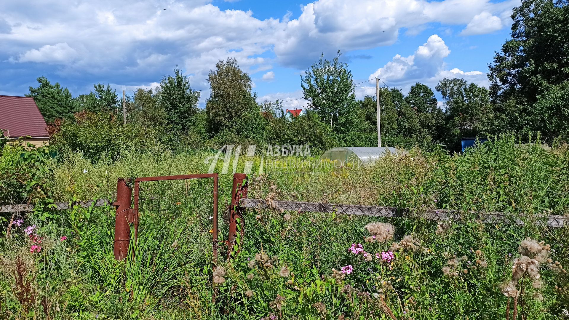 Земли поселения Московская область, городской округ Щёлково, микрорайон Троицкий, Береговая улица