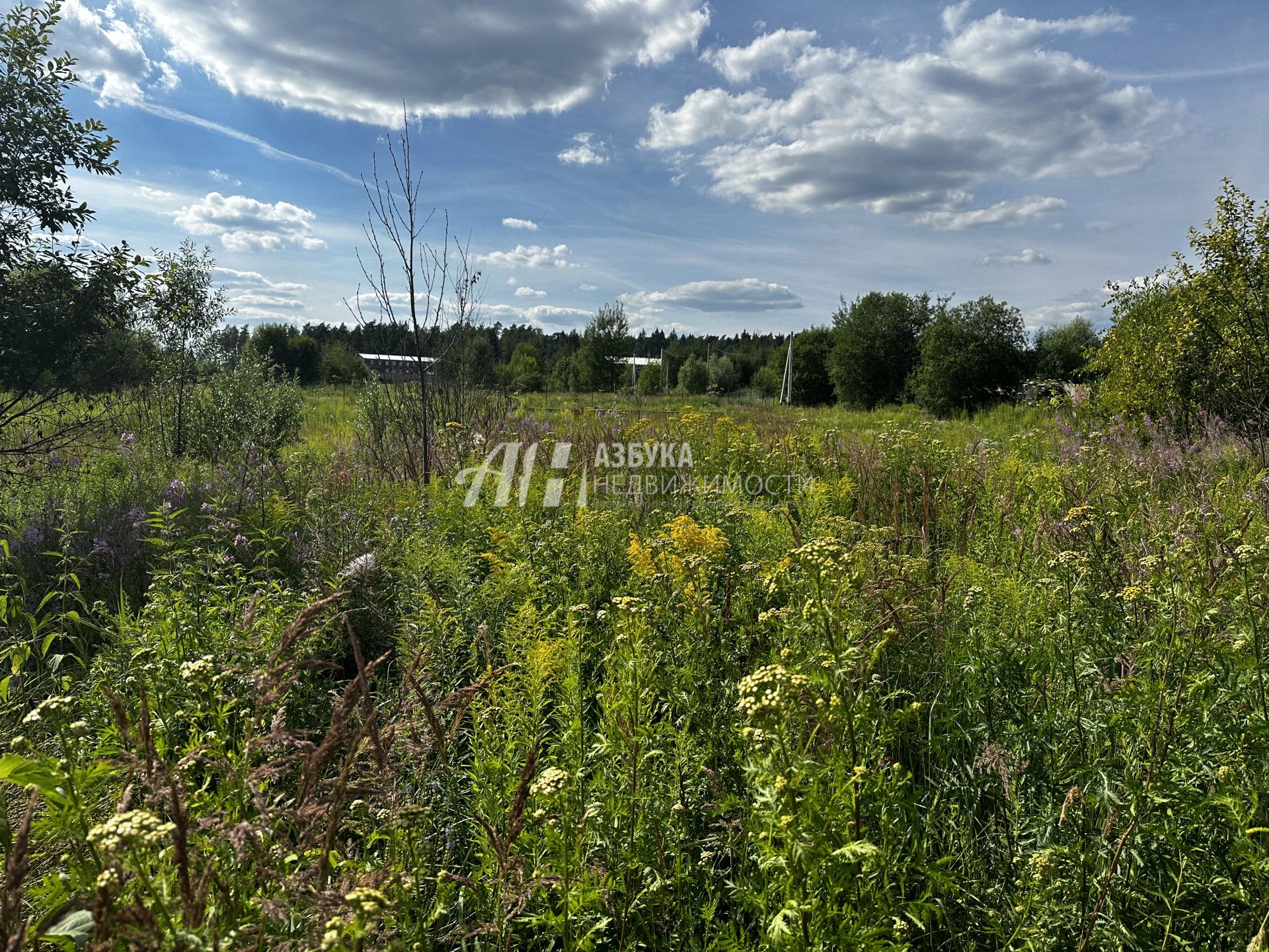 Земли поселения Московская область, городской округ Красногорск, деревня Бузланово