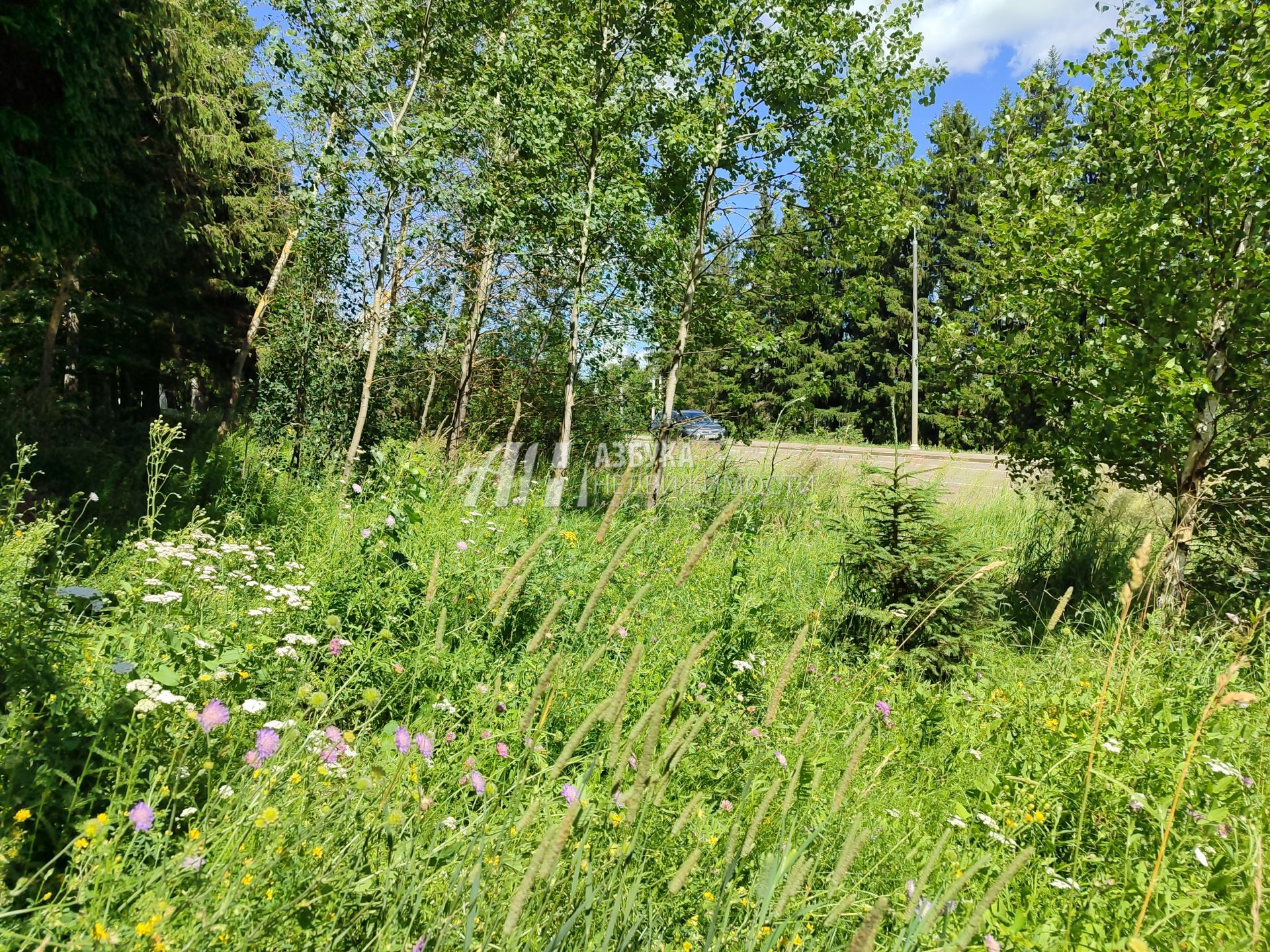 Земли поселения Московская область, Рузский городской округ, деревня Леньково