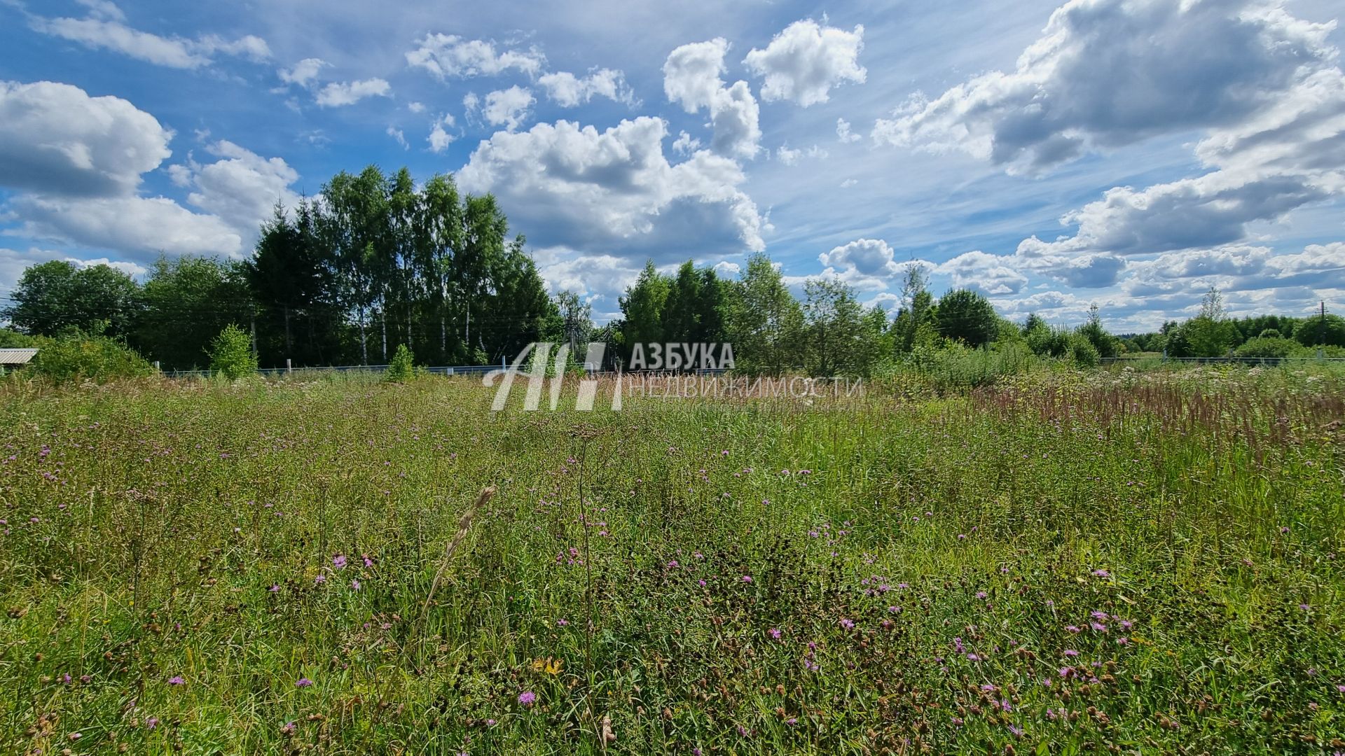 Земли поселения Московская область, Дмитровский городской округ, посёлок Андрейково