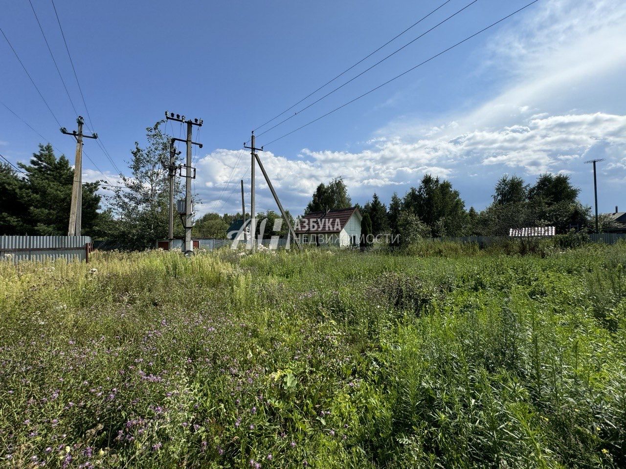 Земли поселения Московская область, Одинцовский городской округ, деревня Софьино