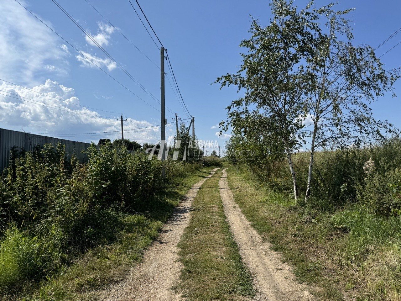 Земли поселения Московская область, Одинцовский городской округ, деревня Софьино