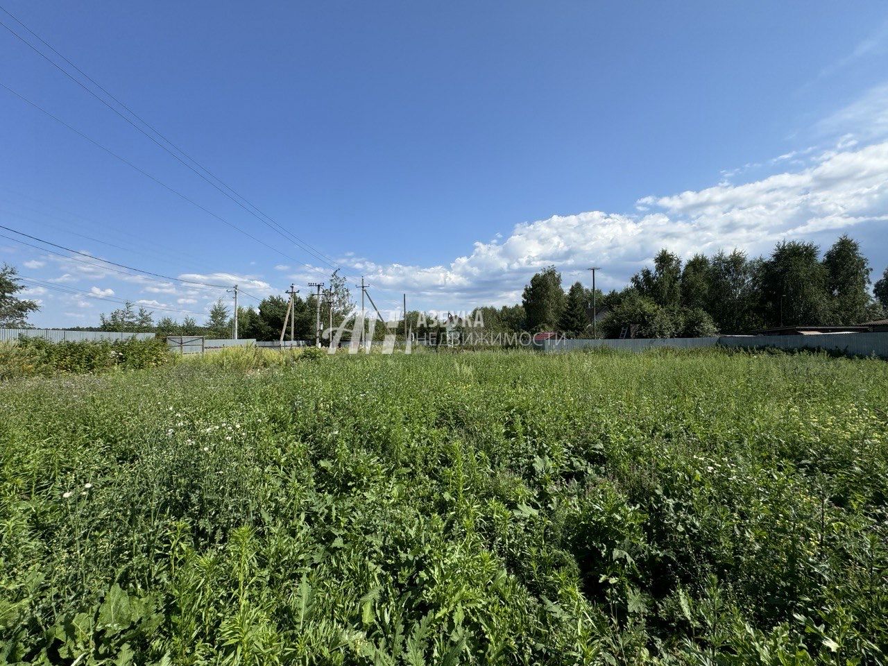 Земли поселения Московская область, Одинцовский городской округ, деревня Софьино