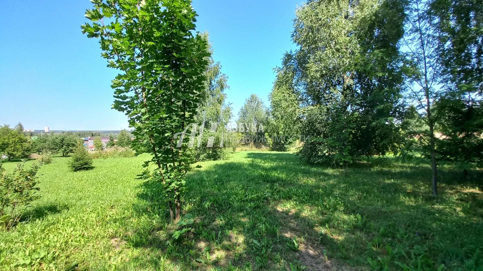 Земли сельхозназначения Московская область, городской округ Истра, деревня Вельяминово, Дачный переулок