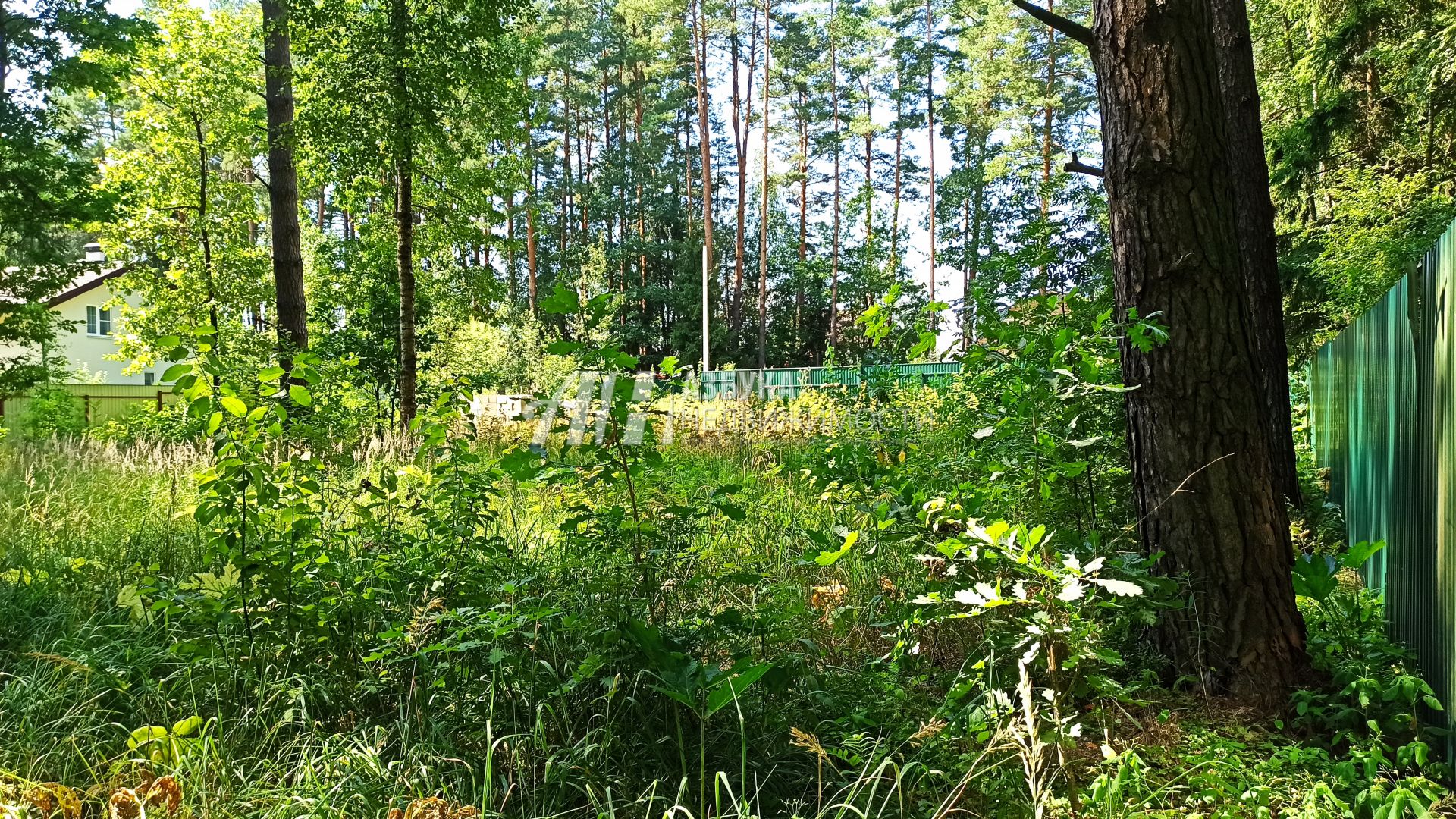 Земли сельхозназначения Московская область, городской округ Пушкинский, садовое товарищество Спутник-1