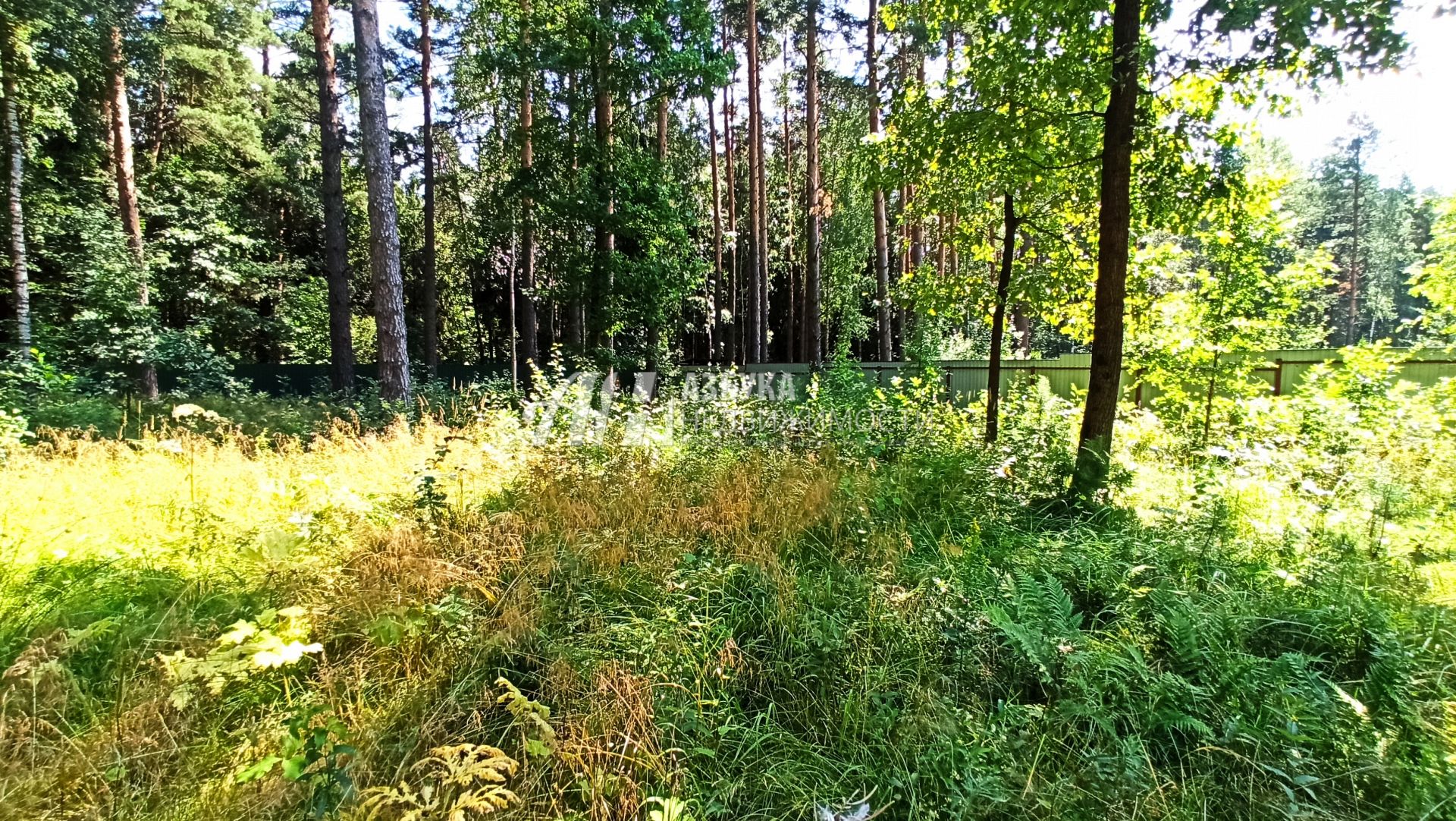 Земли сельхозназначения Московская область, городской округ Пушкинский, садовое товарищество Спутник-1