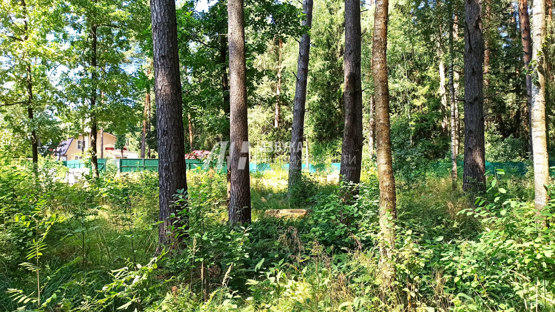 Земли сельхозназначения Московская область, городской округ Пушкинский, садовое товарищество Спутник-1