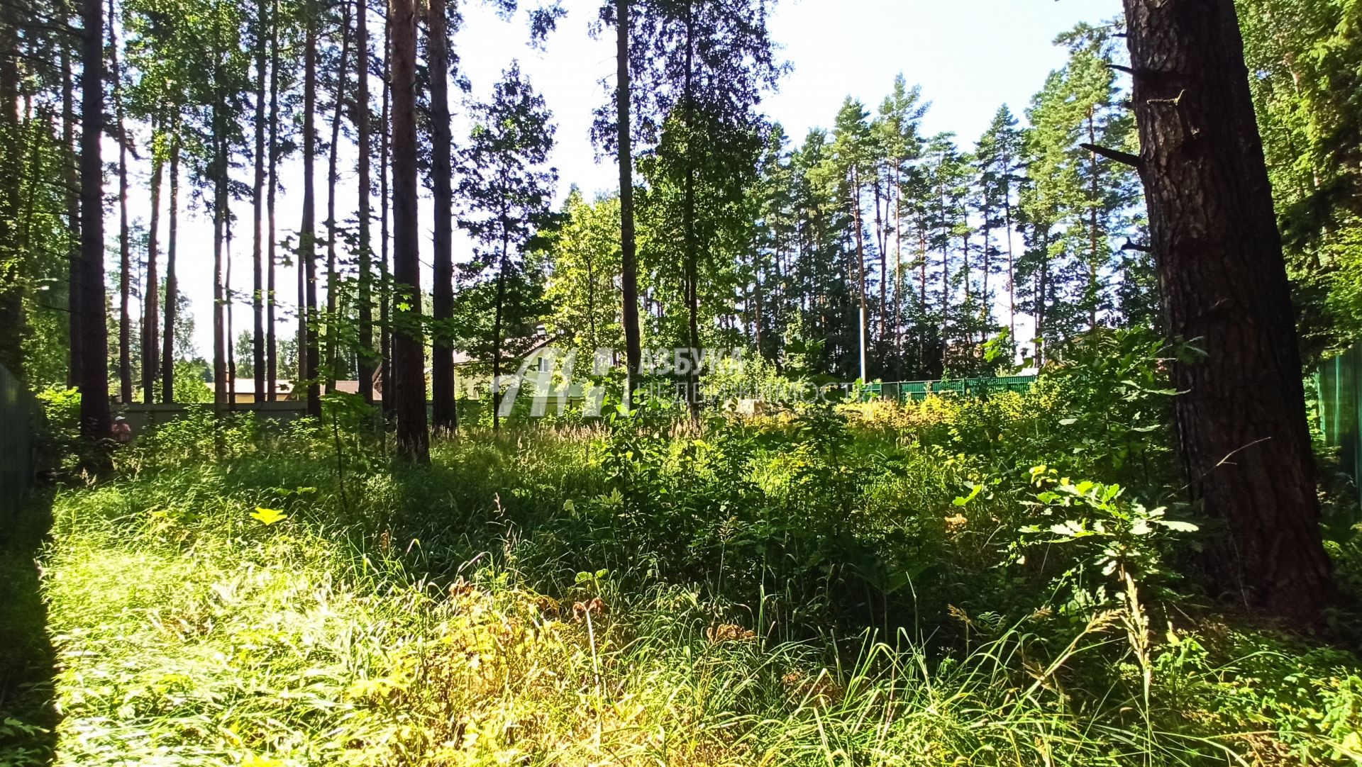 Земли сельхозназначения Московская область, городской округ Пушкинский, садовое товарищество Спутник-1