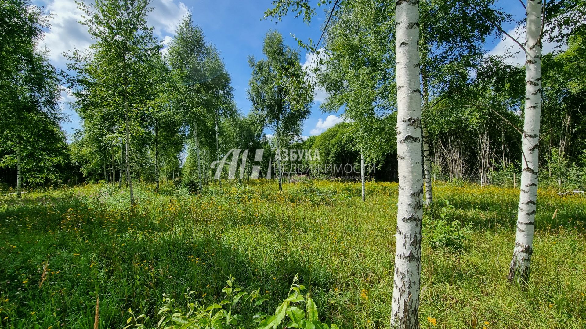 Земли сельхозназначения Московская область, Дмитровский городской округ, коттеджный посёлок Дмитровка Лайф