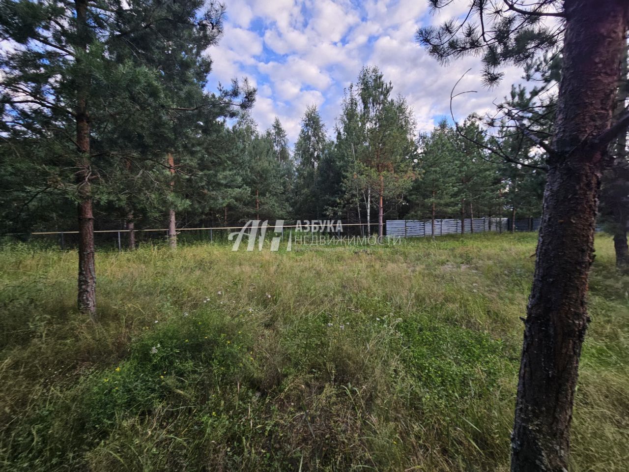 Земли поселения Московская область, городской округ Воскресенск, рабочий посёлок имени Цюрупы, Левычинская улица