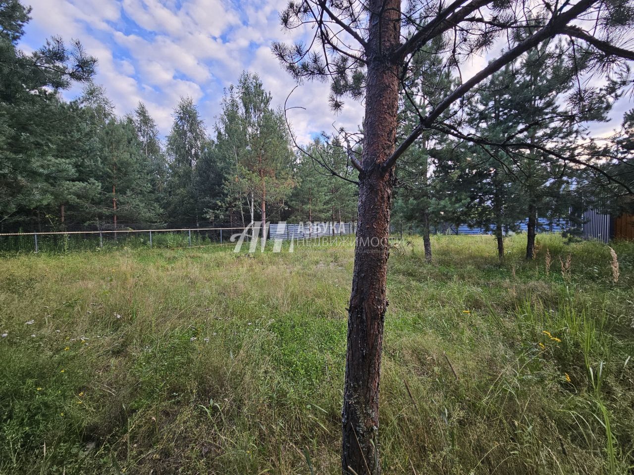 Земли поселения Московская область, городской округ Воскресенск, рабочий посёлок имени Цюрупы, Левычинская улица