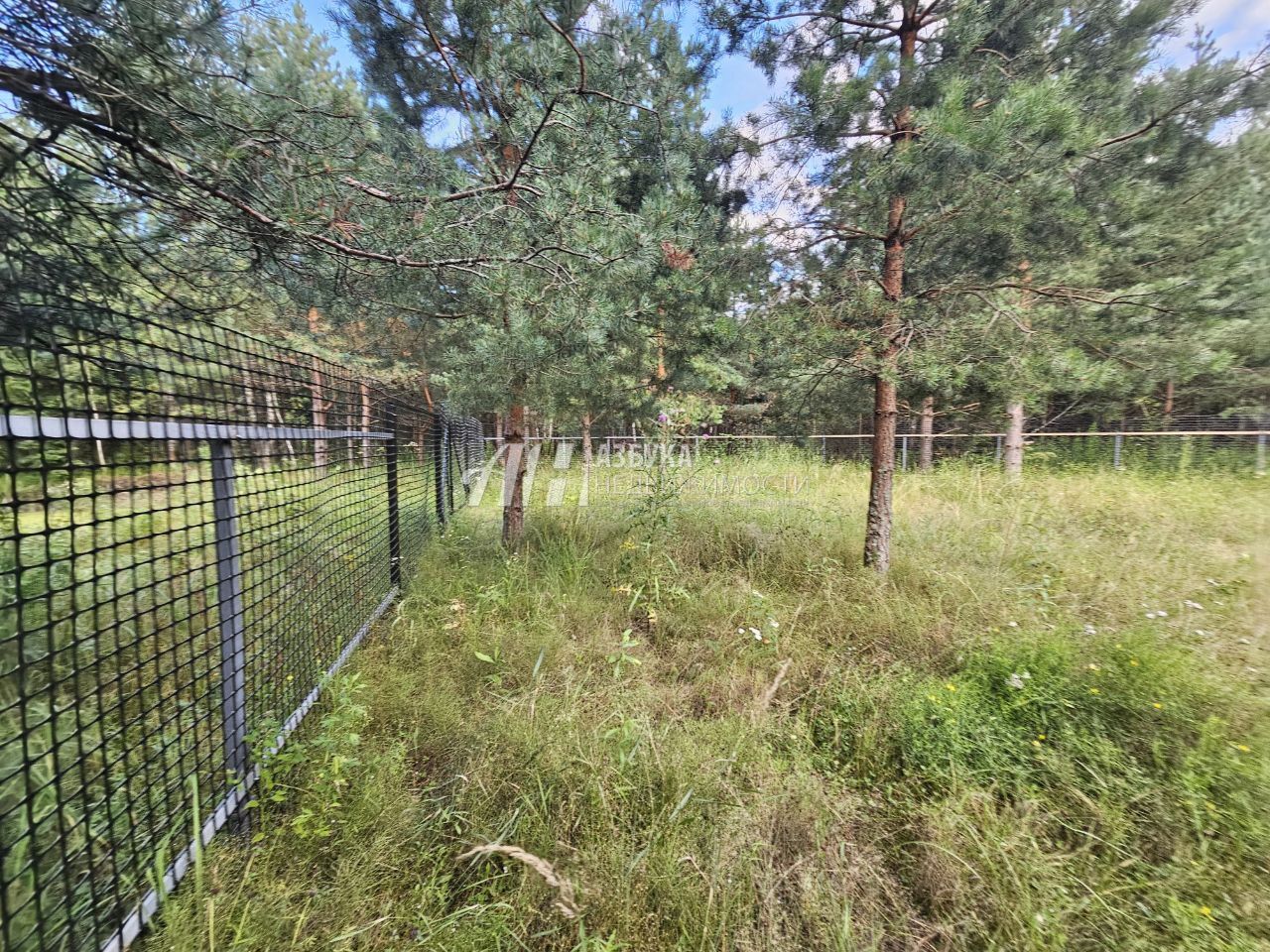 Земли поселения Московская область, городской округ Воскресенск, рабочий посёлок имени Цюрупы, Левычинская улица