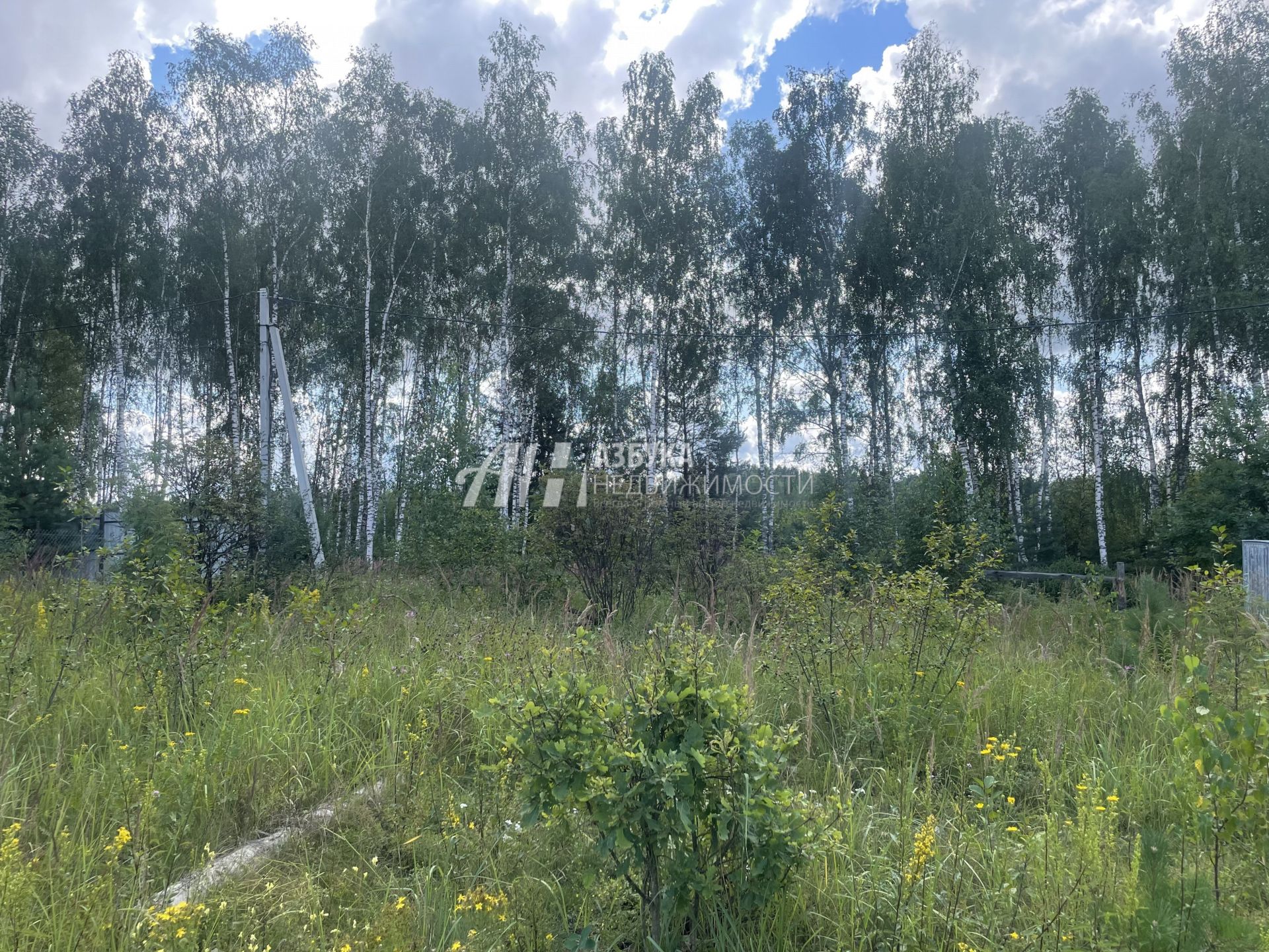 Земли поселения Московская область, городской округ Лосино-Петровский, деревня Кармолино