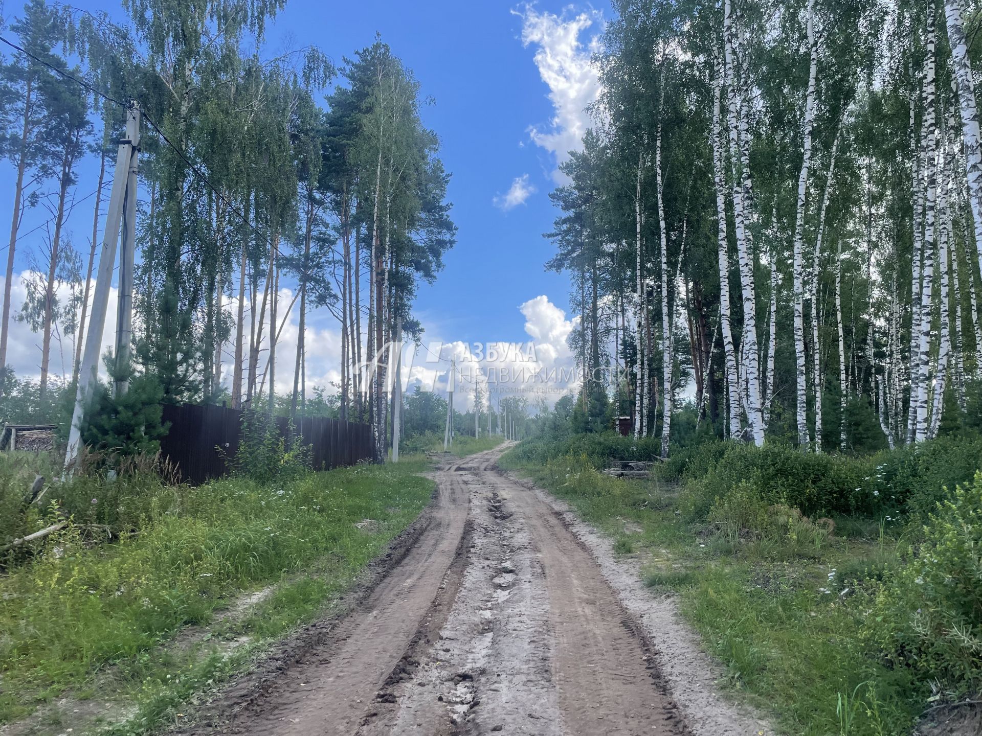 Земли поселения Московская область, городской округ Лосино-Петровский, деревня Кармолино