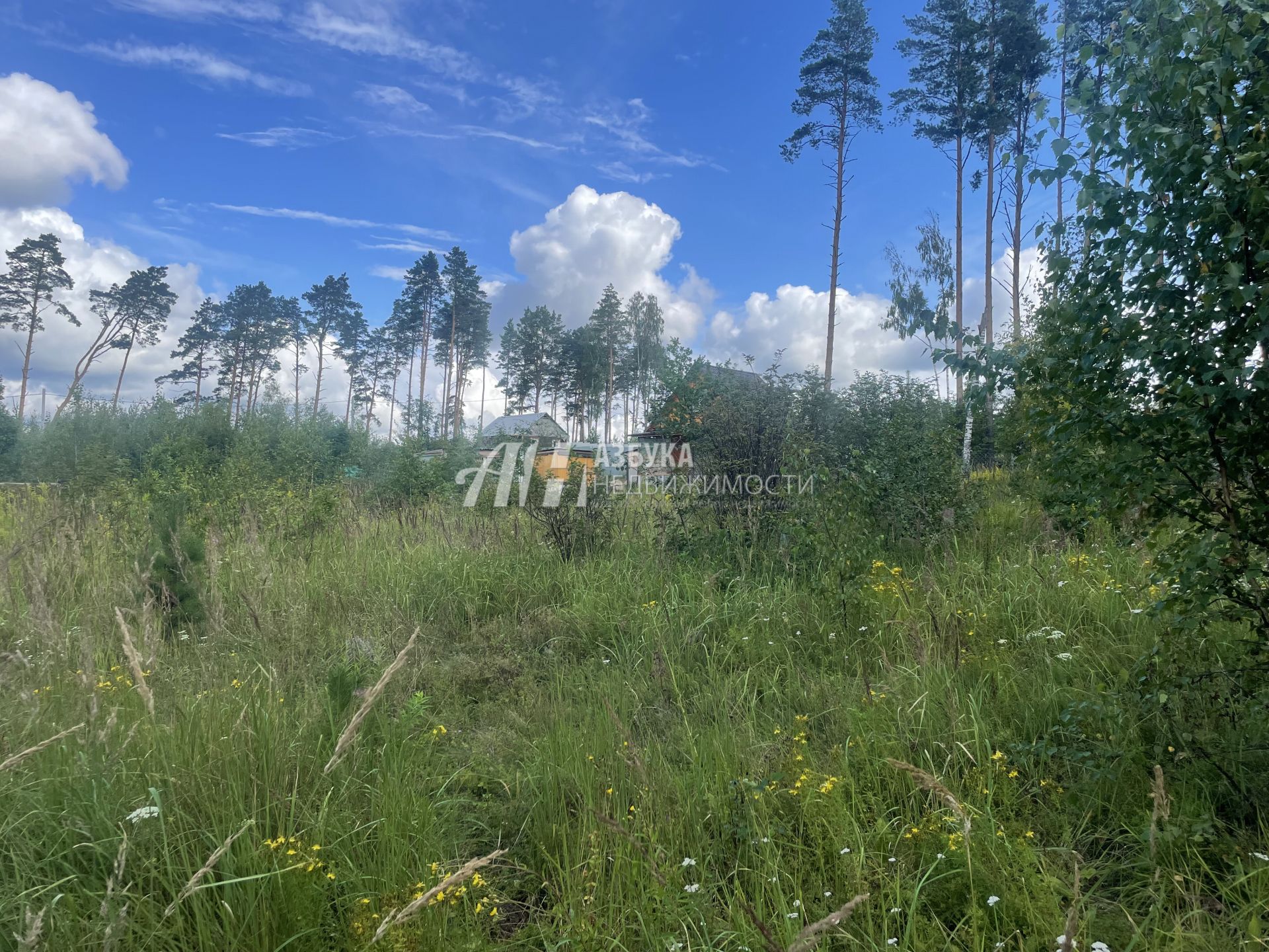 Земли поселения Московская область, городской округ Лосино-Петровский, деревня Кармолино