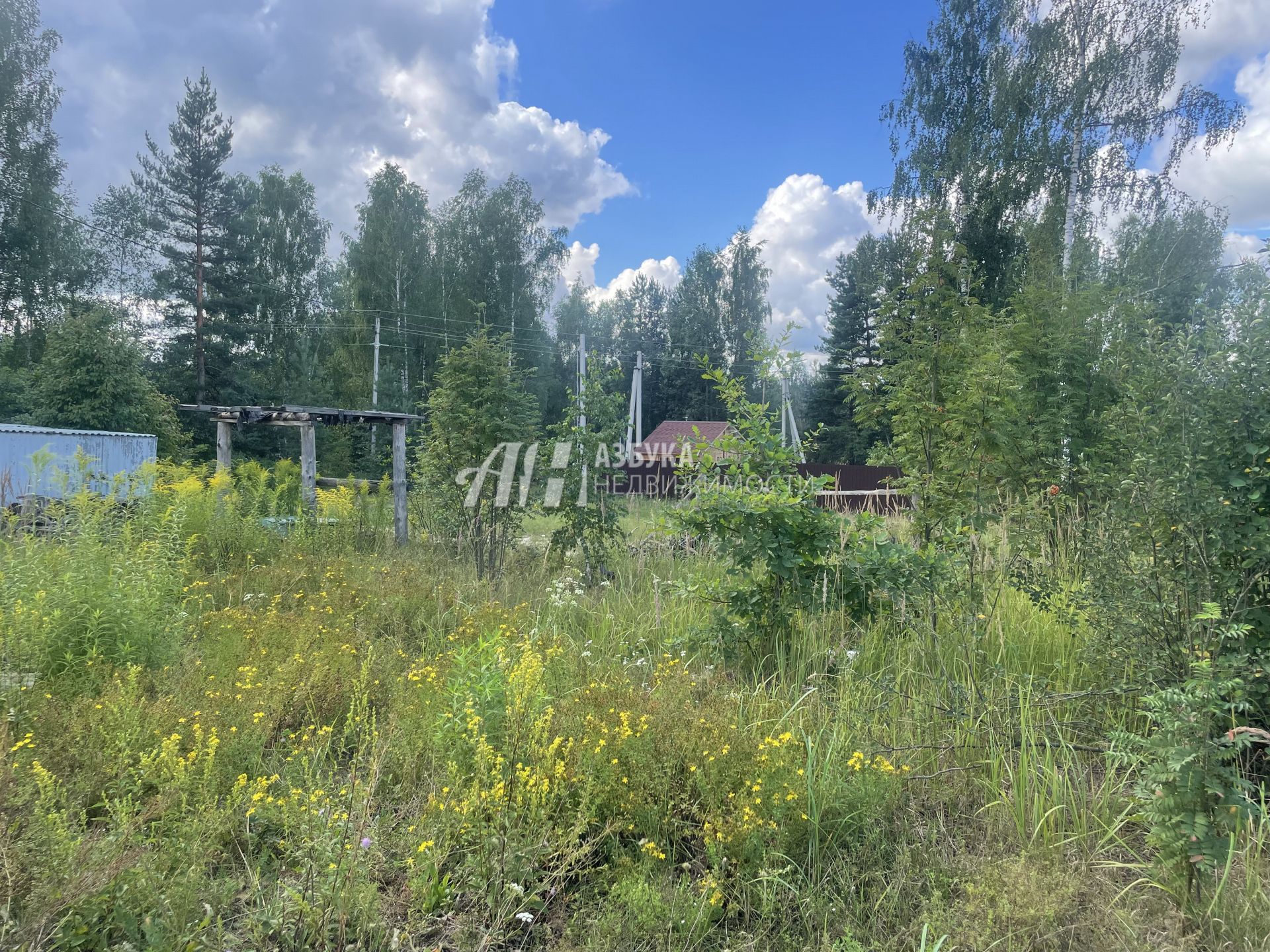 Земли поселения Московская область, городской округ Лосино-Петровский, деревня Кармолино