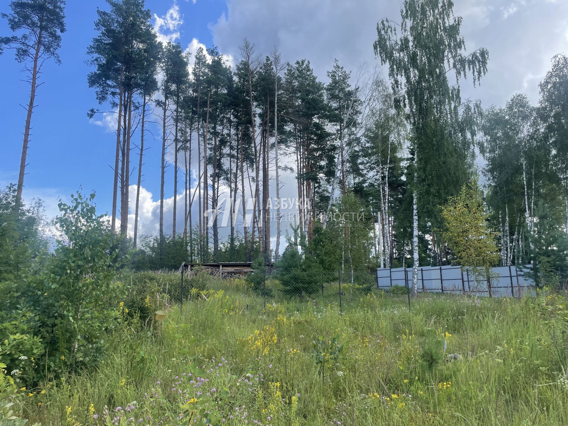 Земли поселения Московская область, городской округ Лосино-Петровский, деревня Кармолино