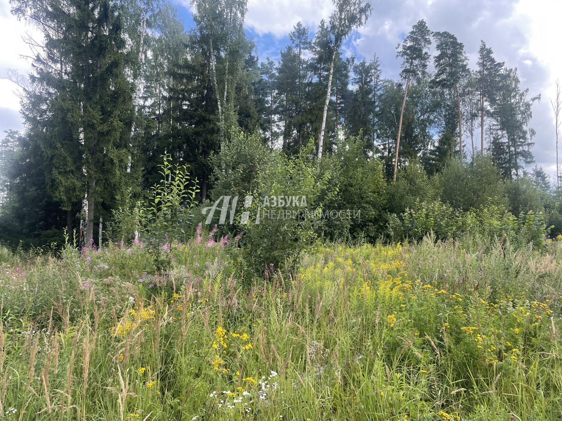 Земли поселения Московская область, городской округ Лосино-Петровский, деревня Улиткино