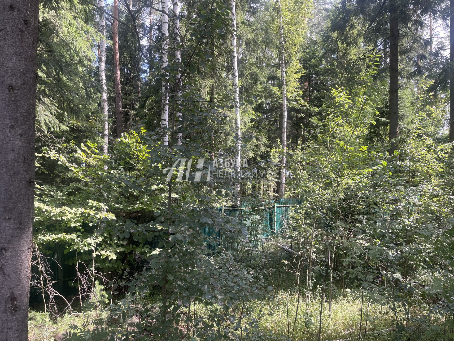 Земли поселения Московская область, городской округ Лосино-Петровский, деревня Улиткино