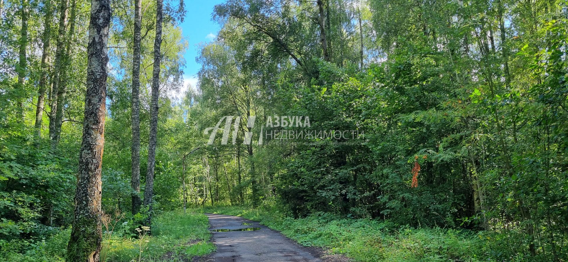 Земли поселения Московская область, Одинцовский городской округ, деревня Кезьмино