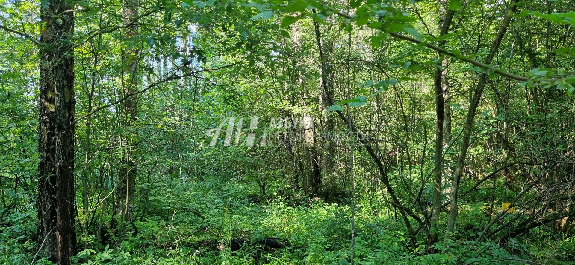 Земли поселения Московская область, Одинцовский городской округ, деревня Кезьмино