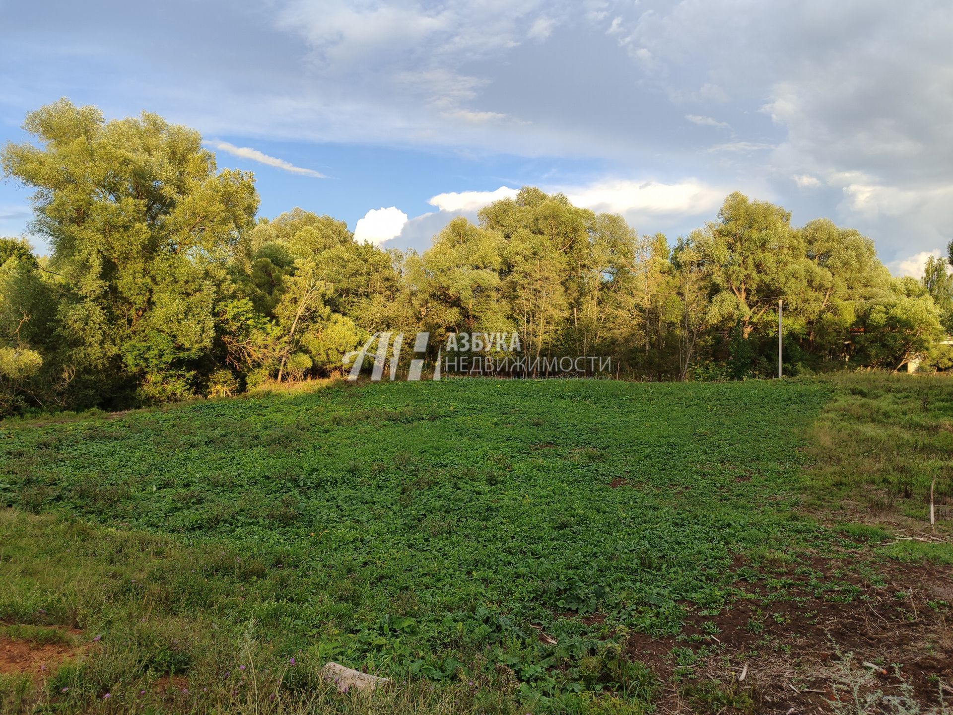 Земли поселения Московская область, Рузский городской округ, село Кожино